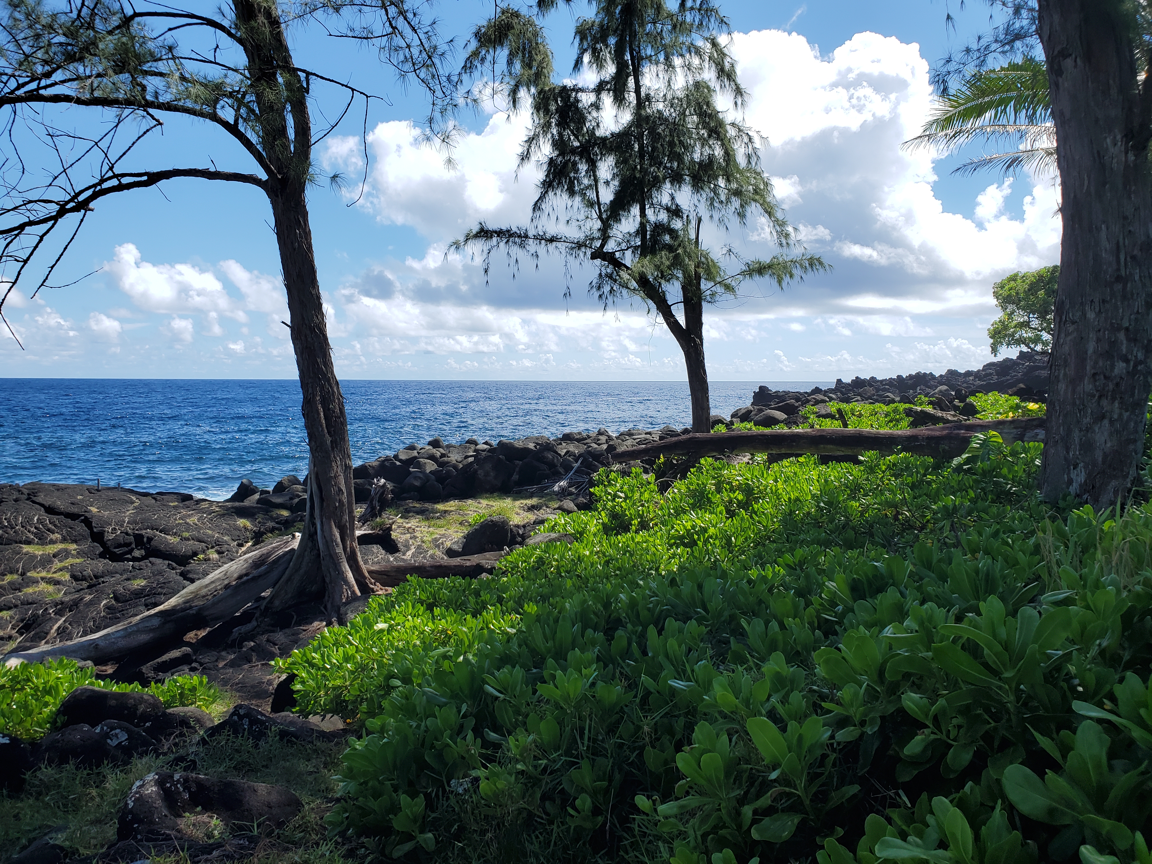 Opihi St Property Photo 15
