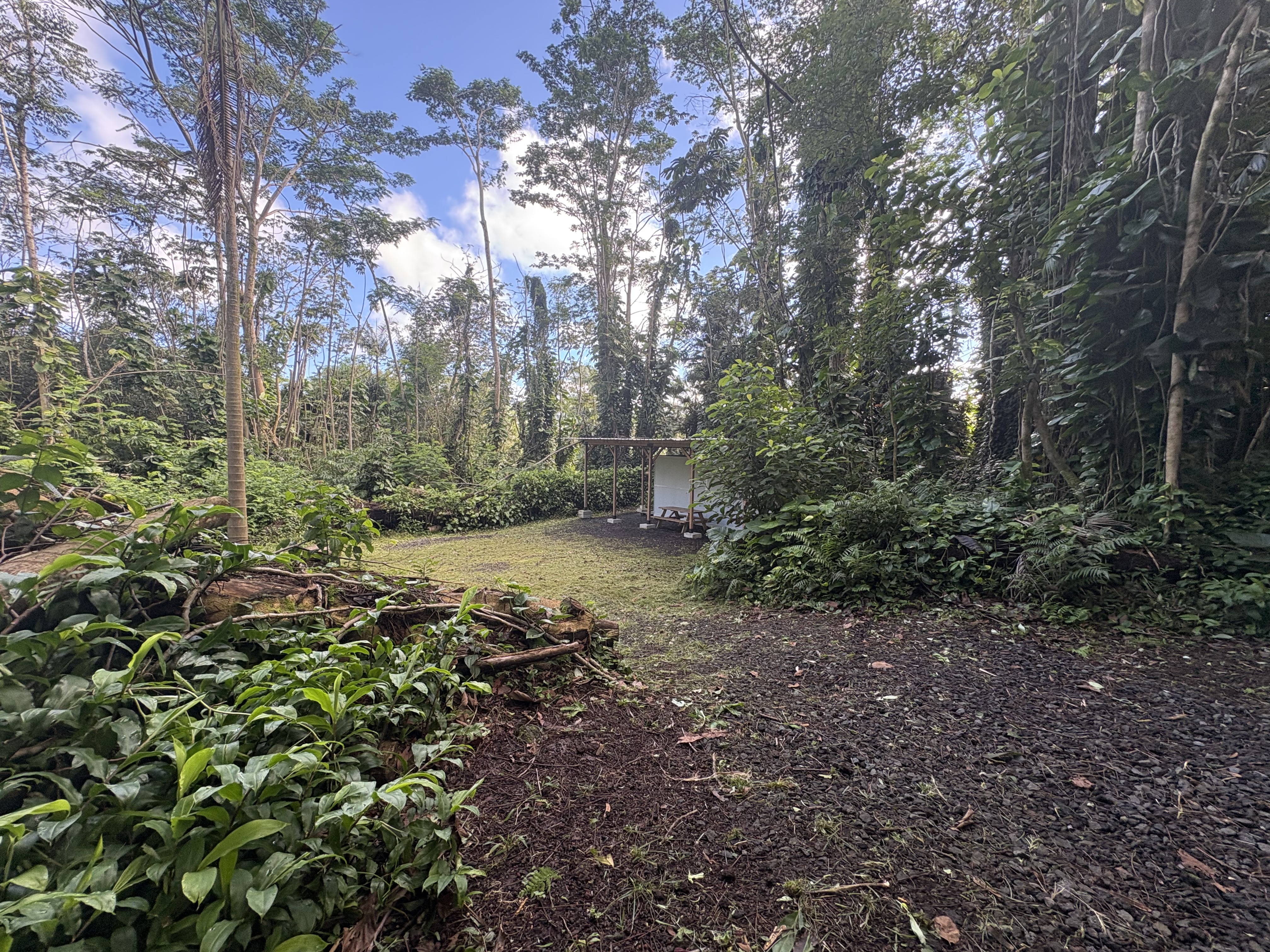 Leilani Estates Property Photo 2
