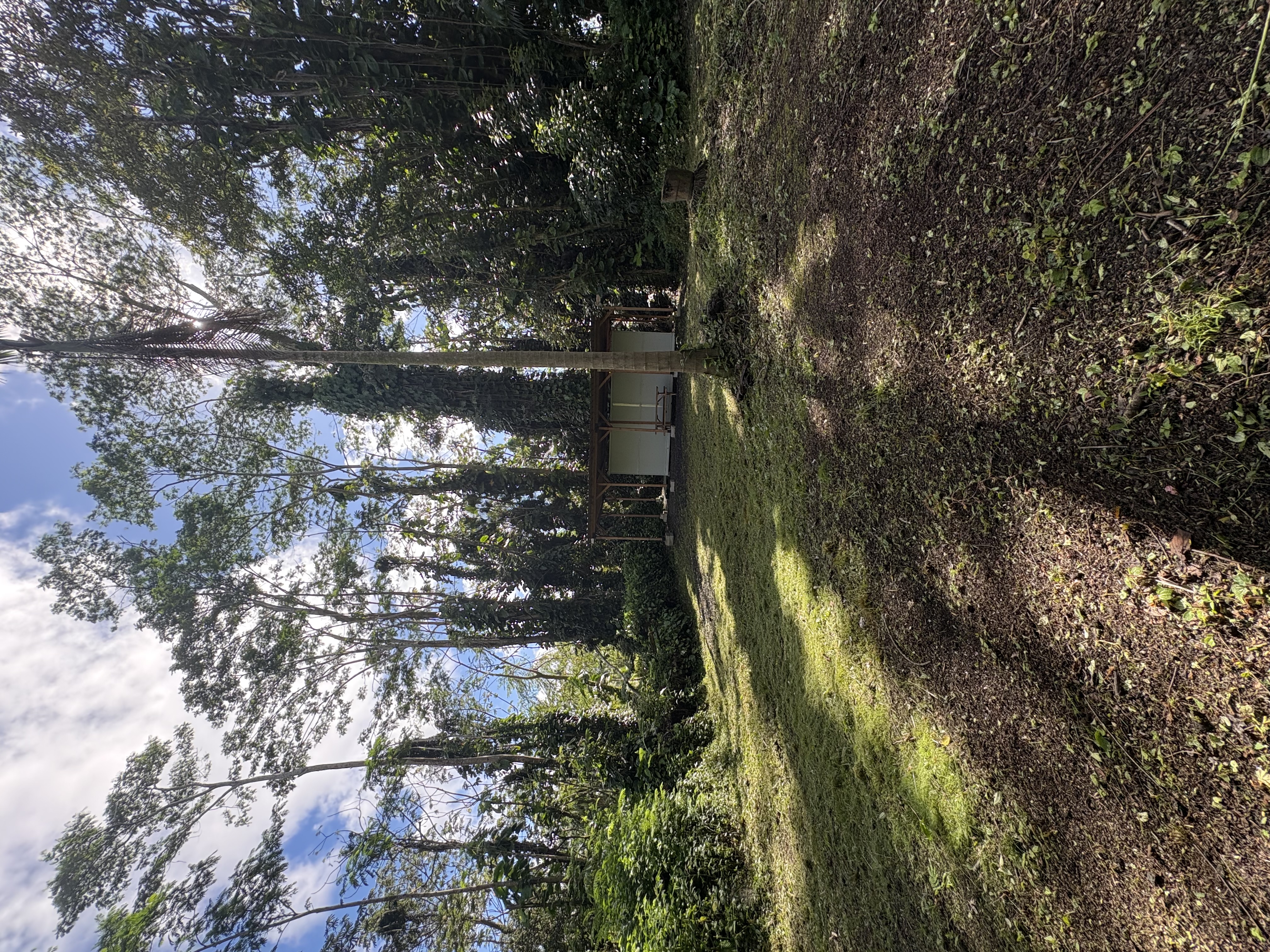 Leilani Estates Property Photo 9