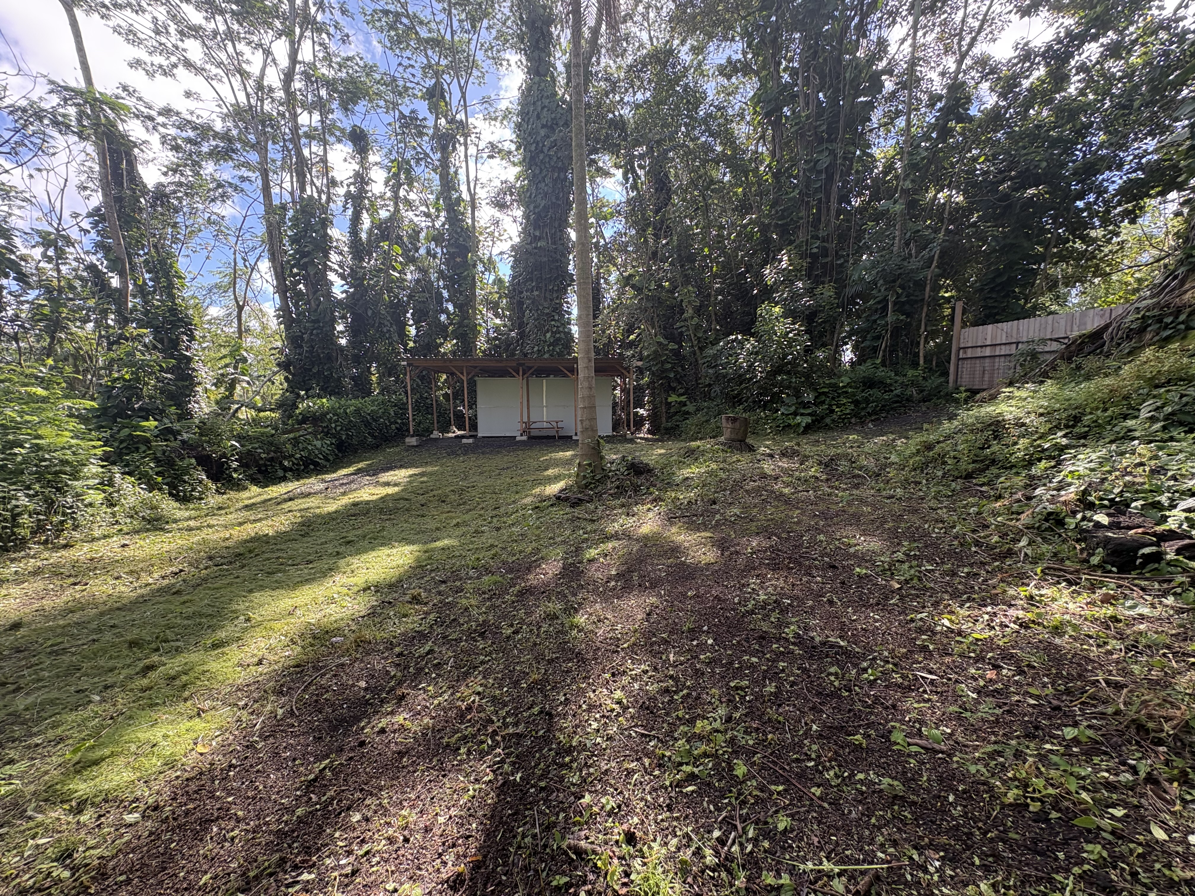 Leilani Estates Property Photo 10
