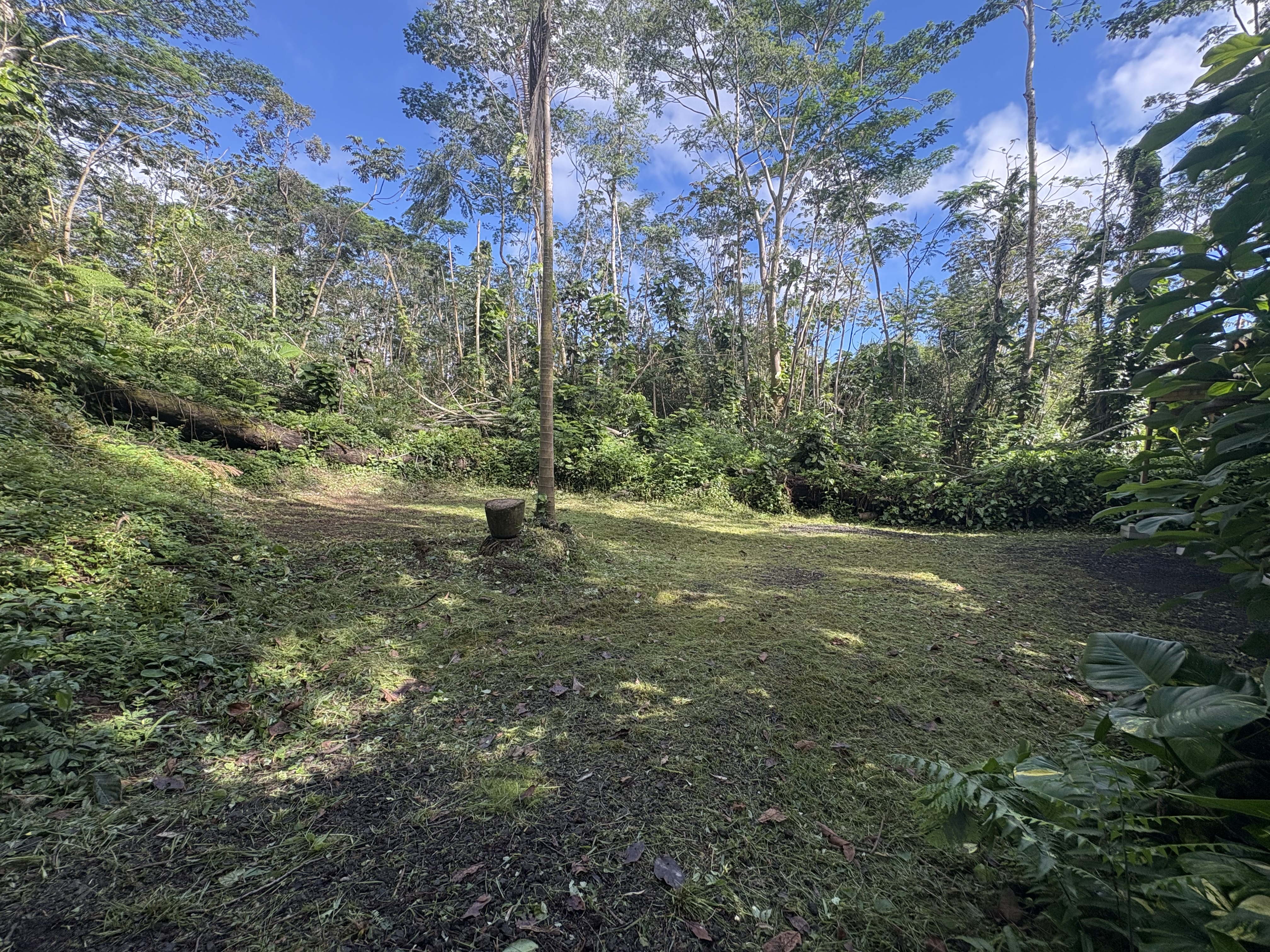 Leilani Estates Property Photo 14