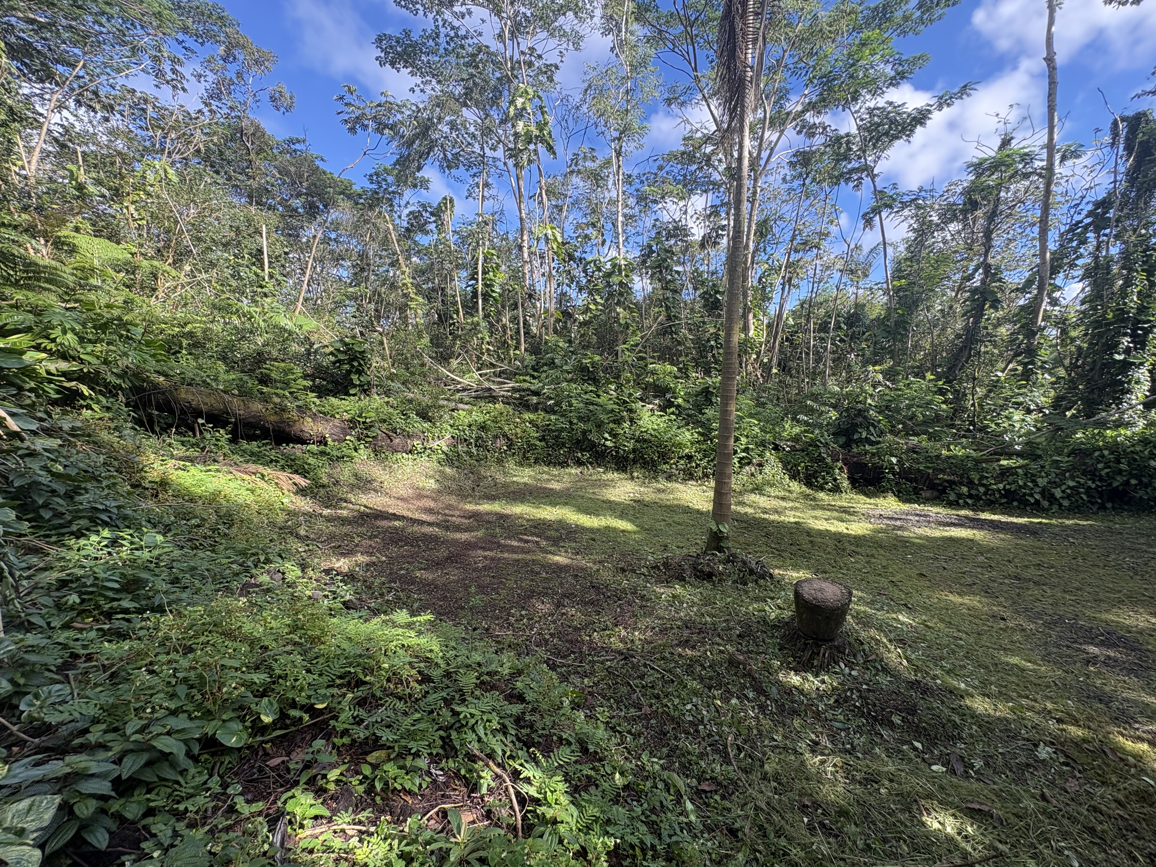 Leilani Estates Property Photo 15