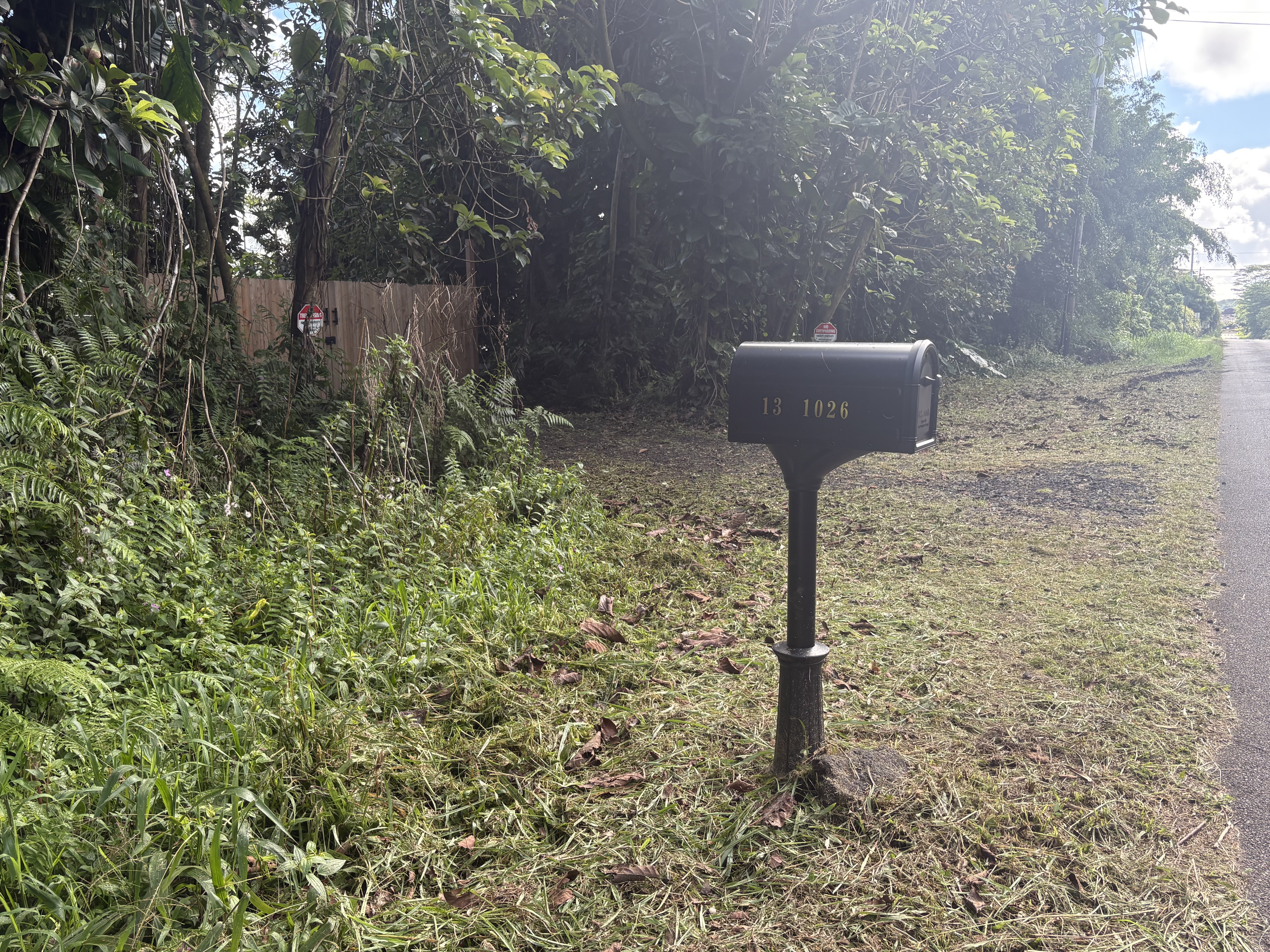 Leilani Estates Property Photo 16