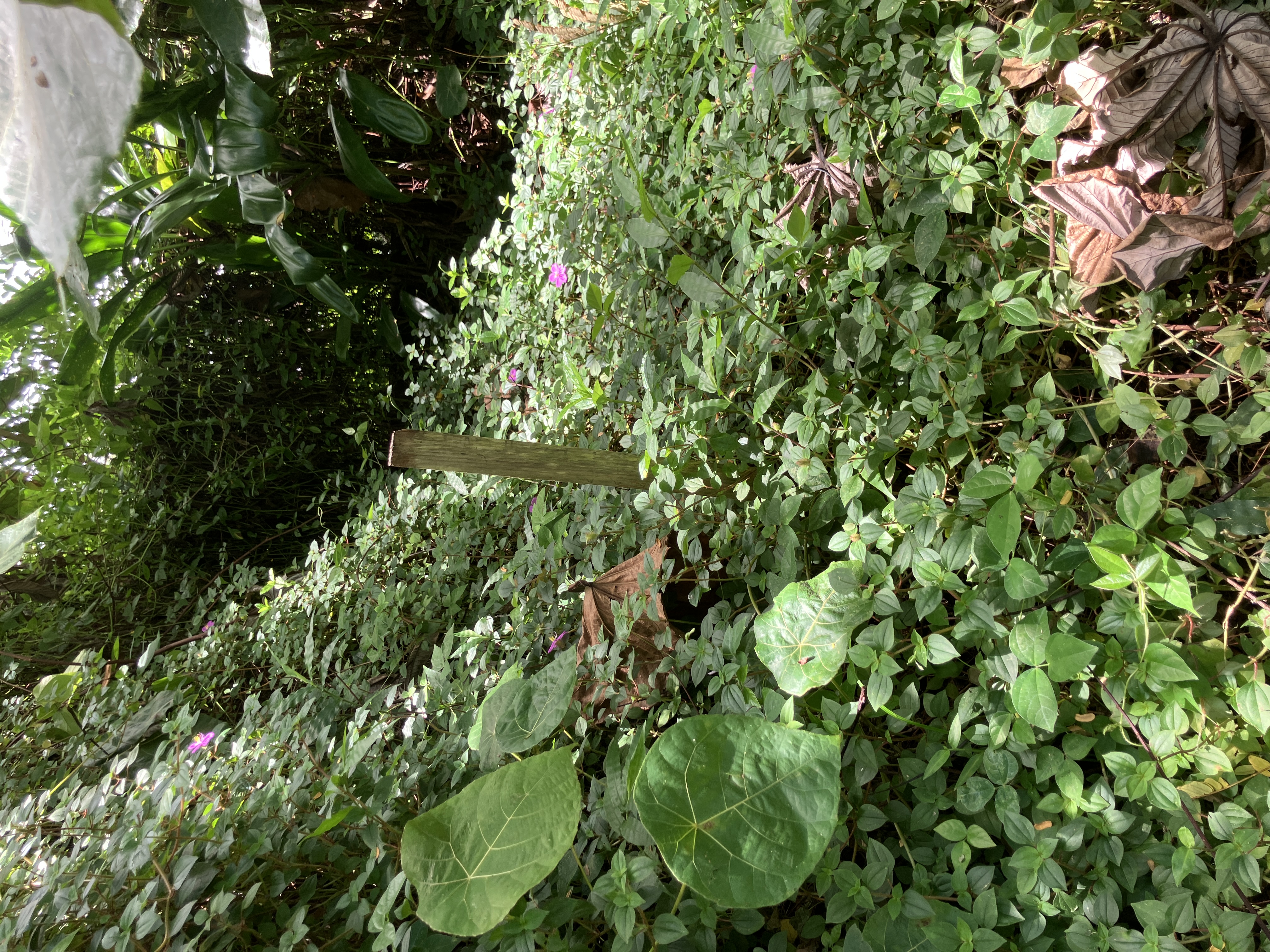 Opakapaka St Property Photo 2