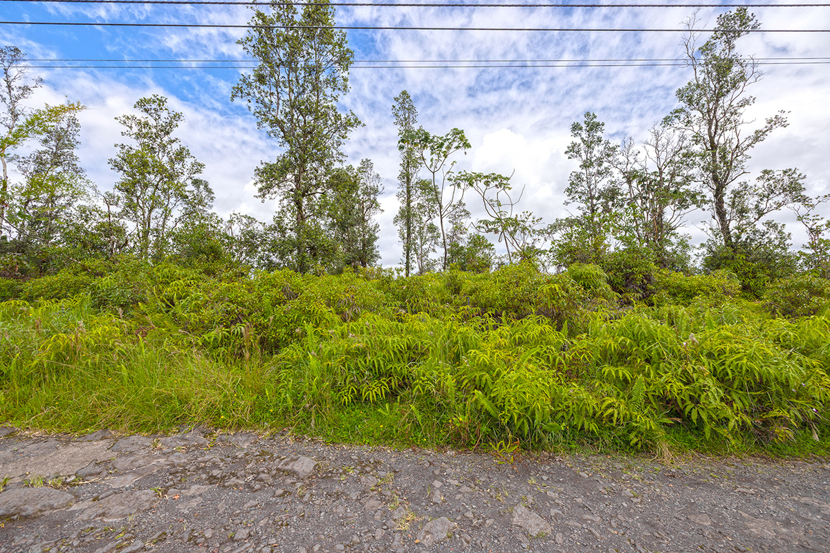 Road 8 (moho) Property Photo 3