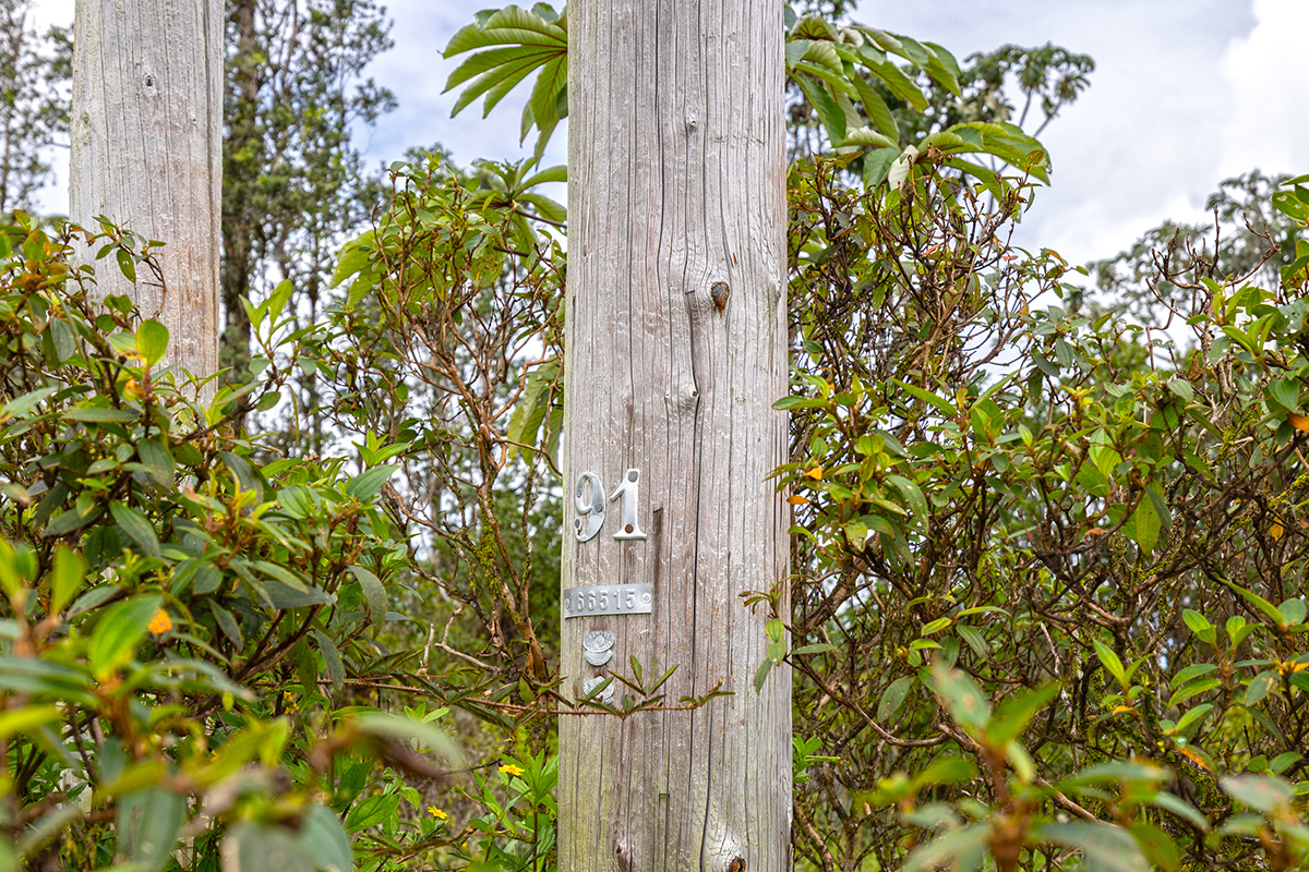 Road 8 (moho) Property Photo 4