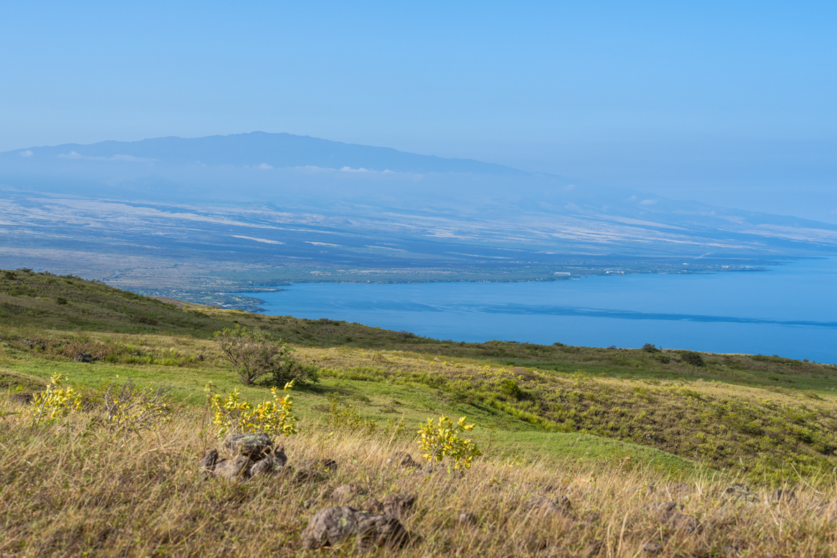 Lehiwa Way Property Photo 2