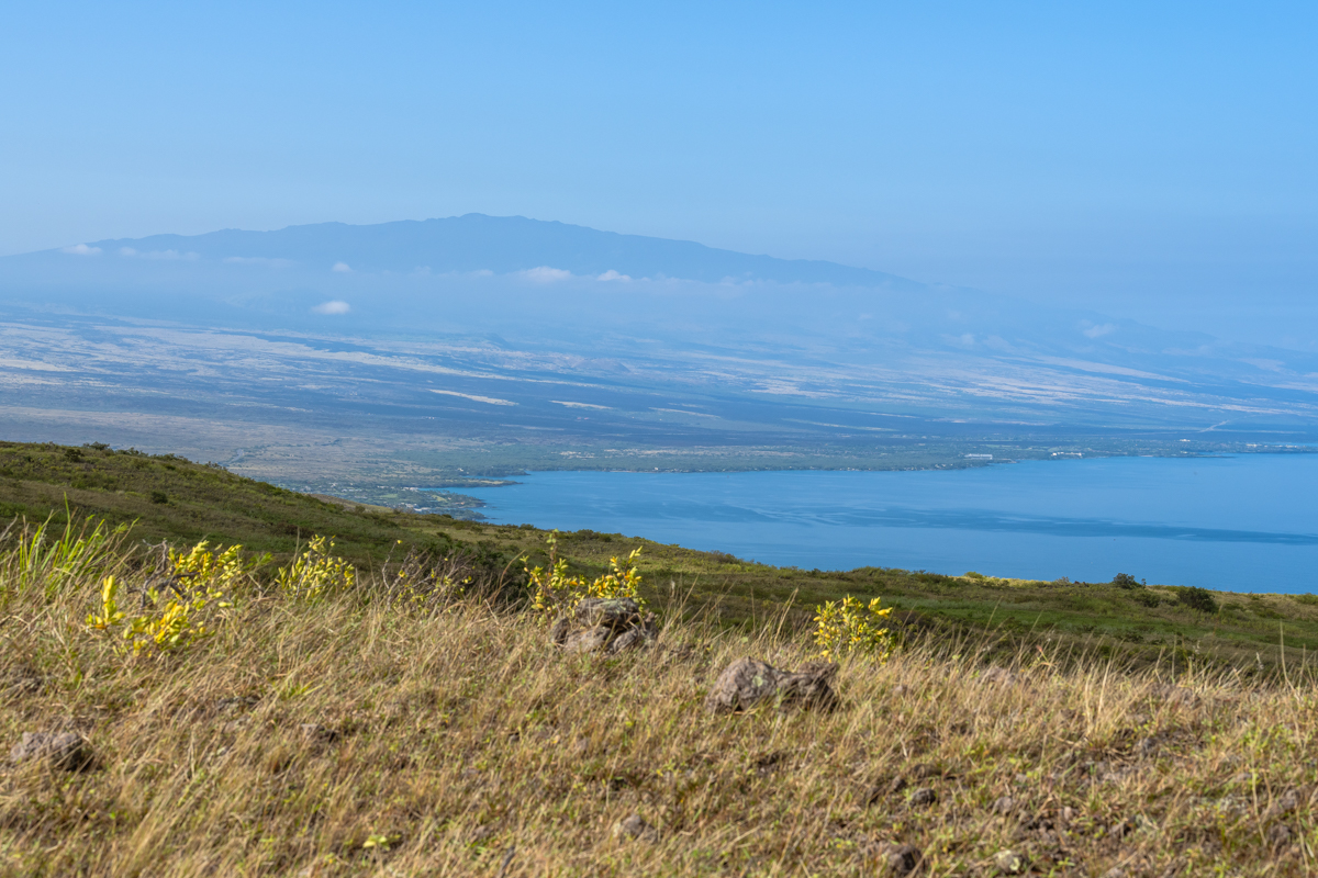 Lehiwa Way Property Photo 6