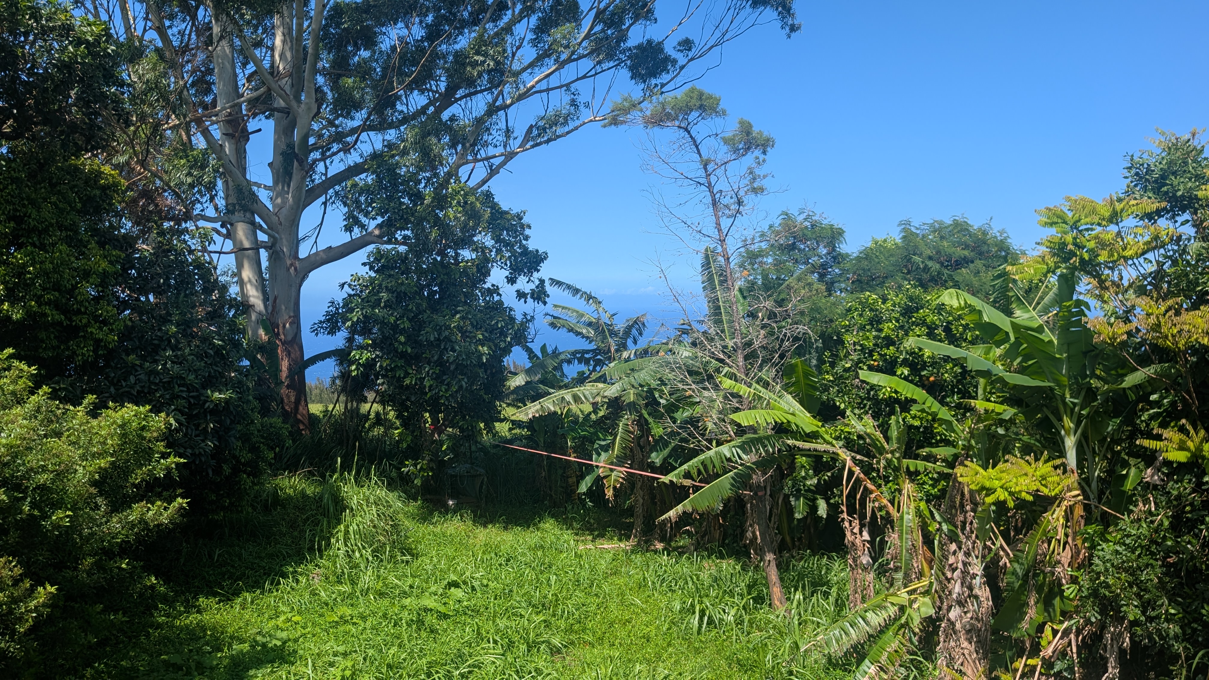 46-4174 Honokaa Waipio Rd Property Photo 20