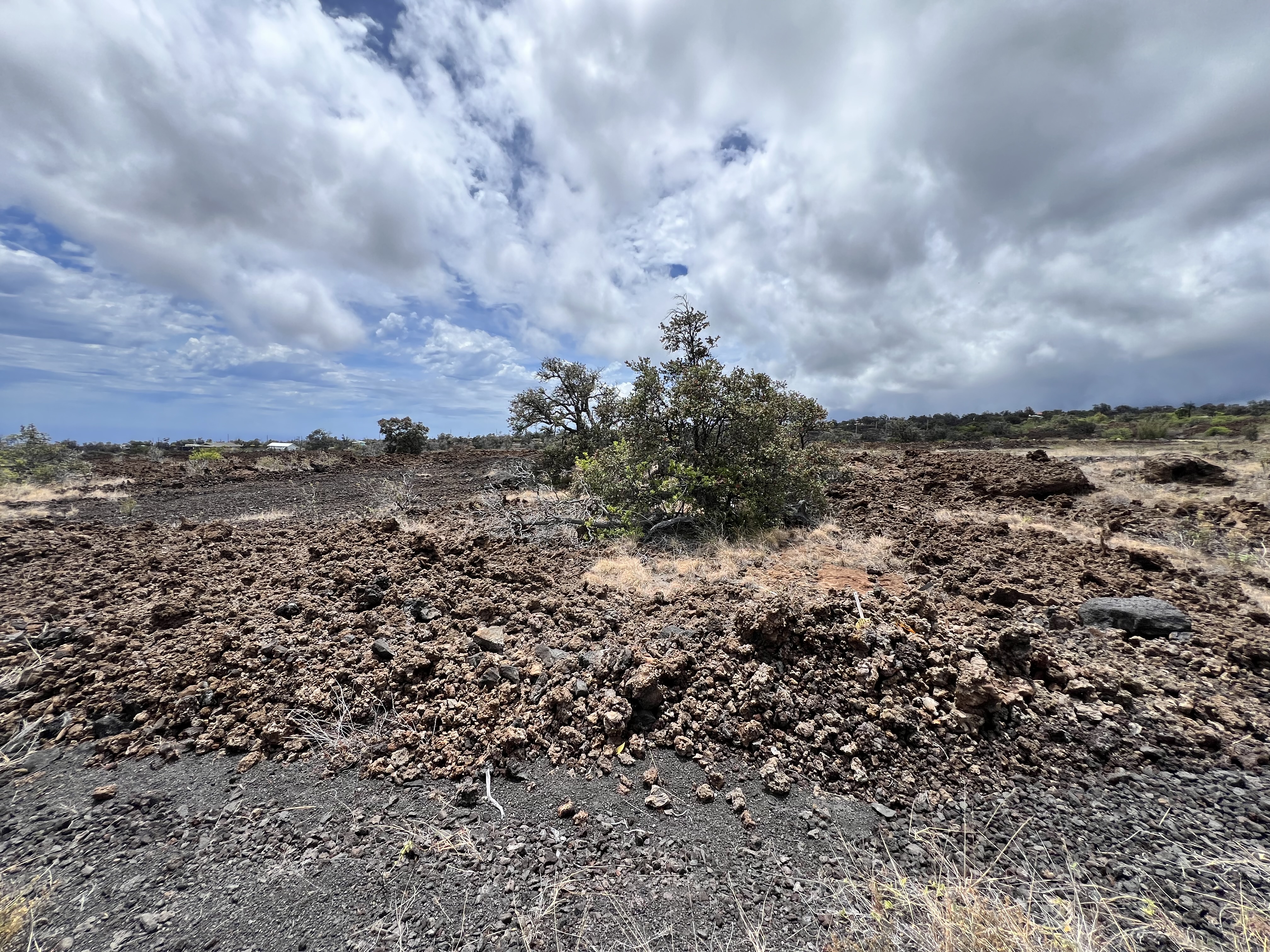 Kohala Blvd Property Photo 4