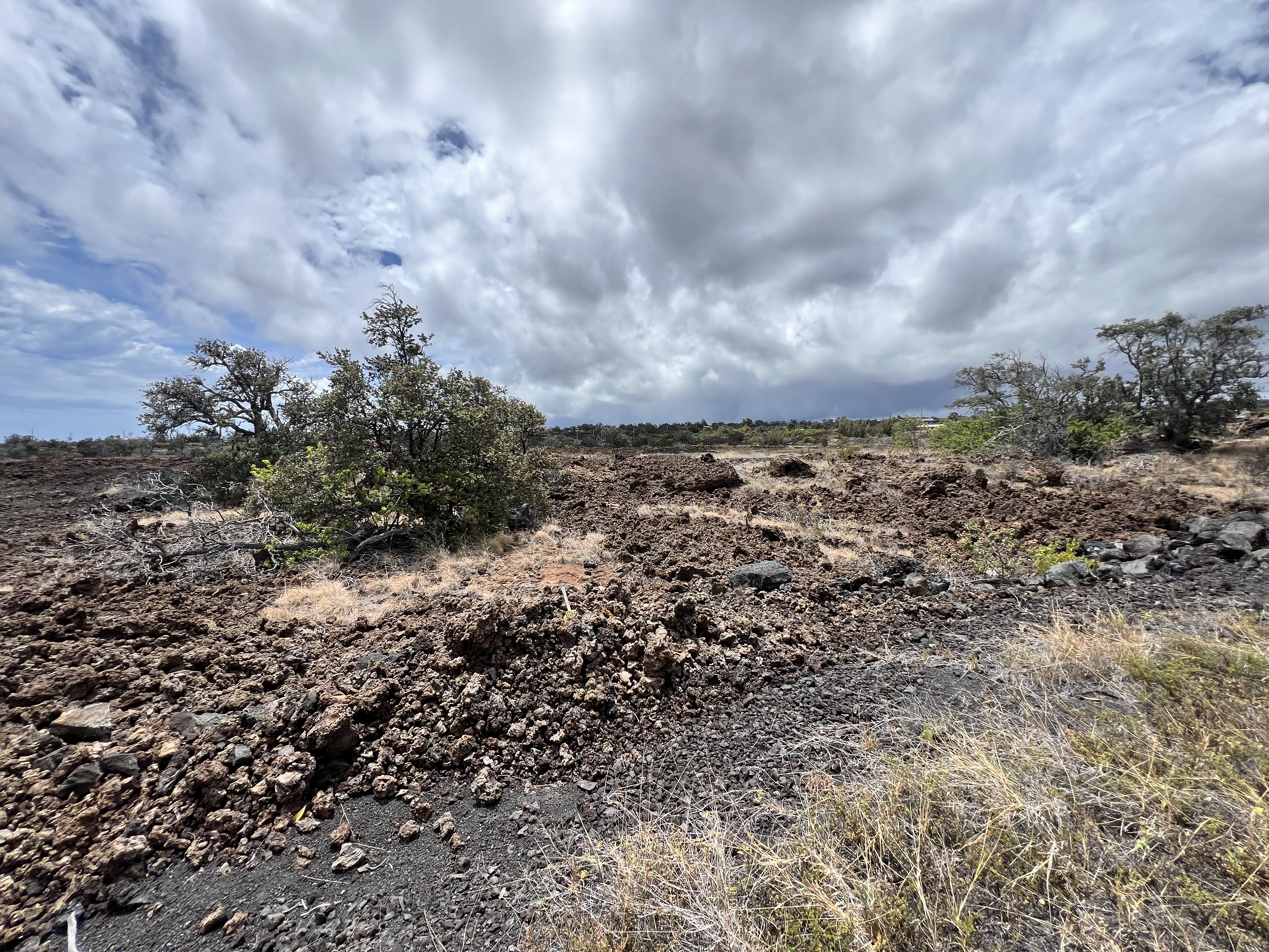 Kohala Blvd Property Photo 5