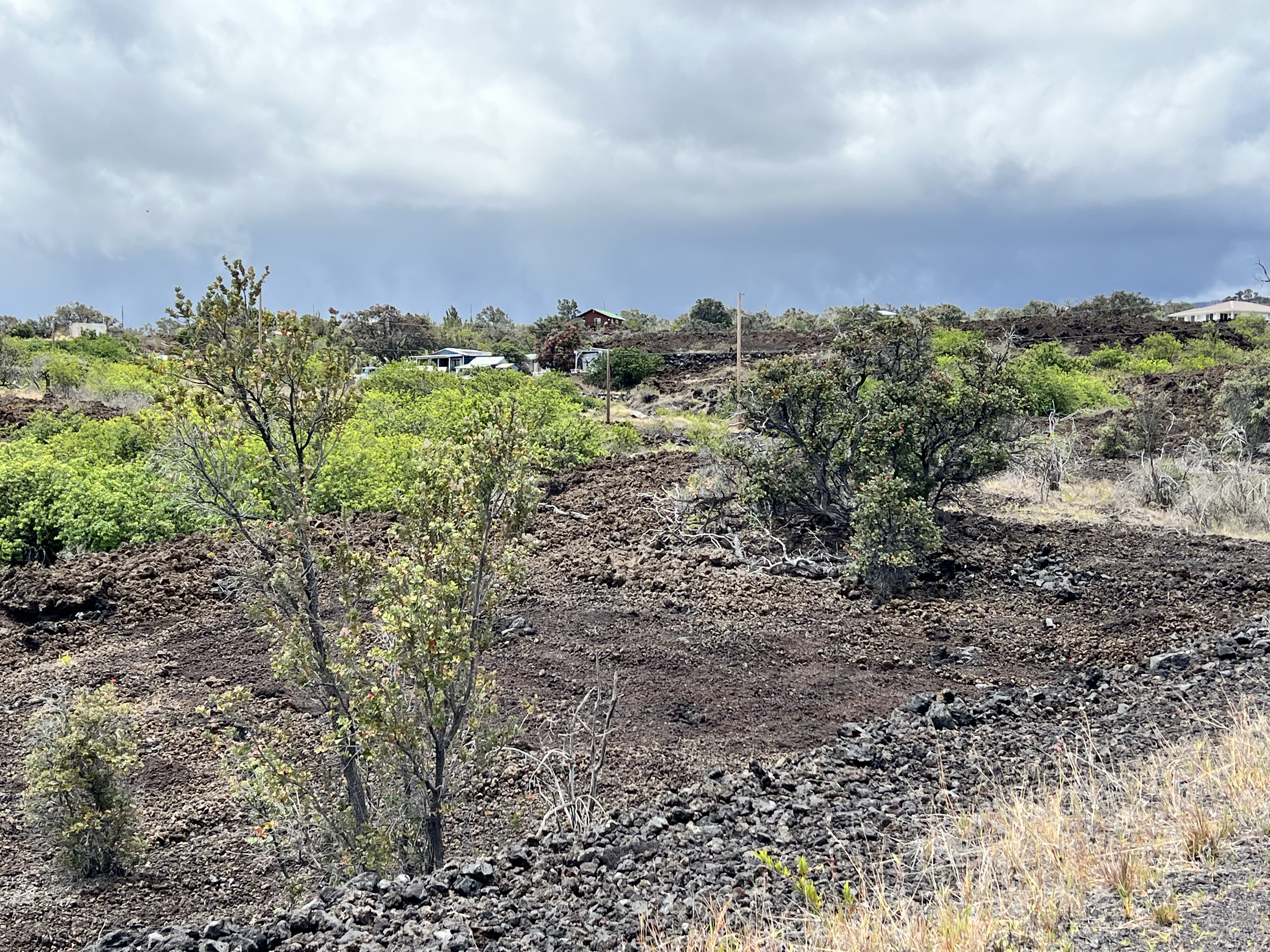 Alii Blvd Property Photo 5