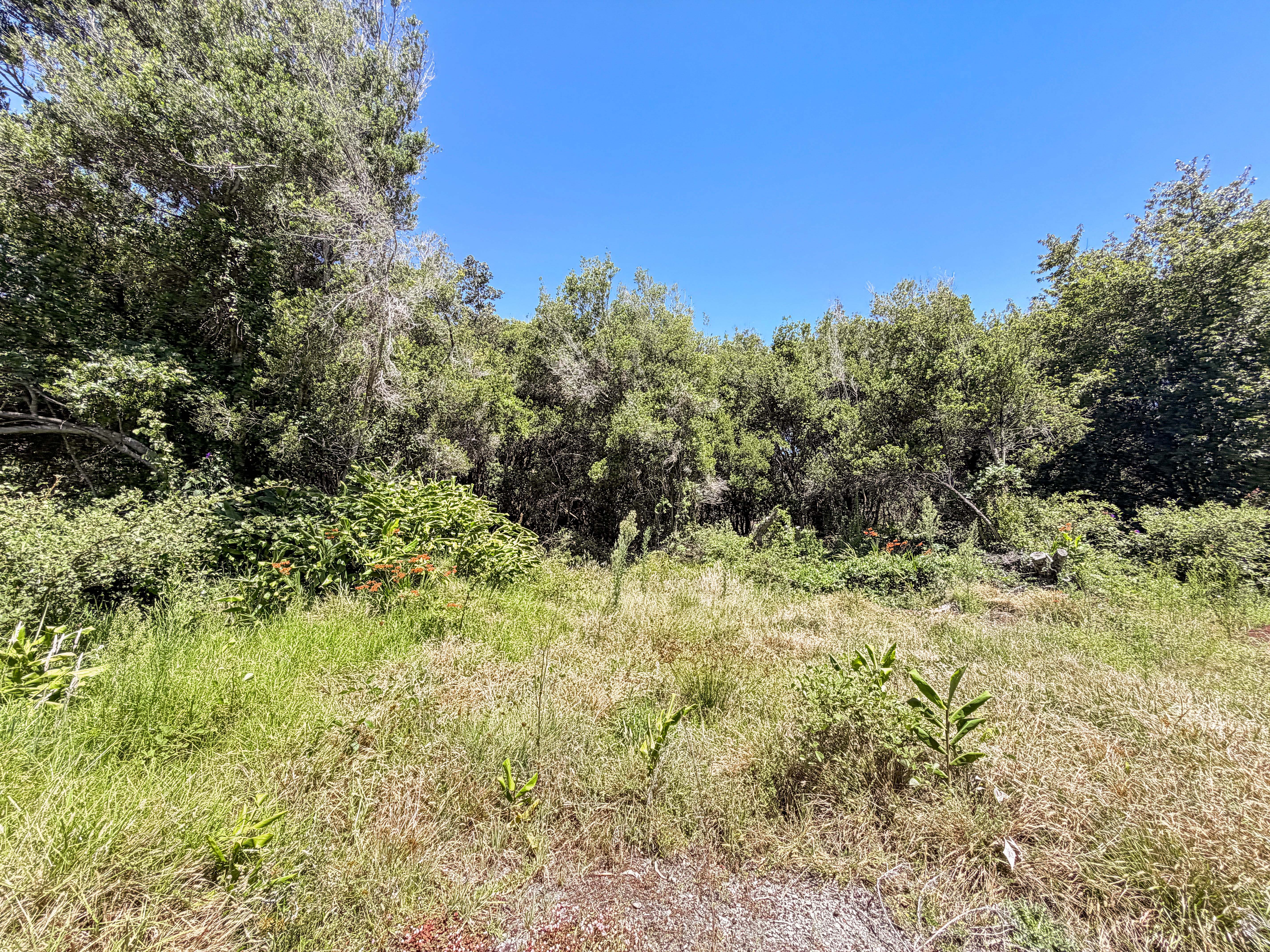 99-1805 Kaohelo Way Property Photo 5
