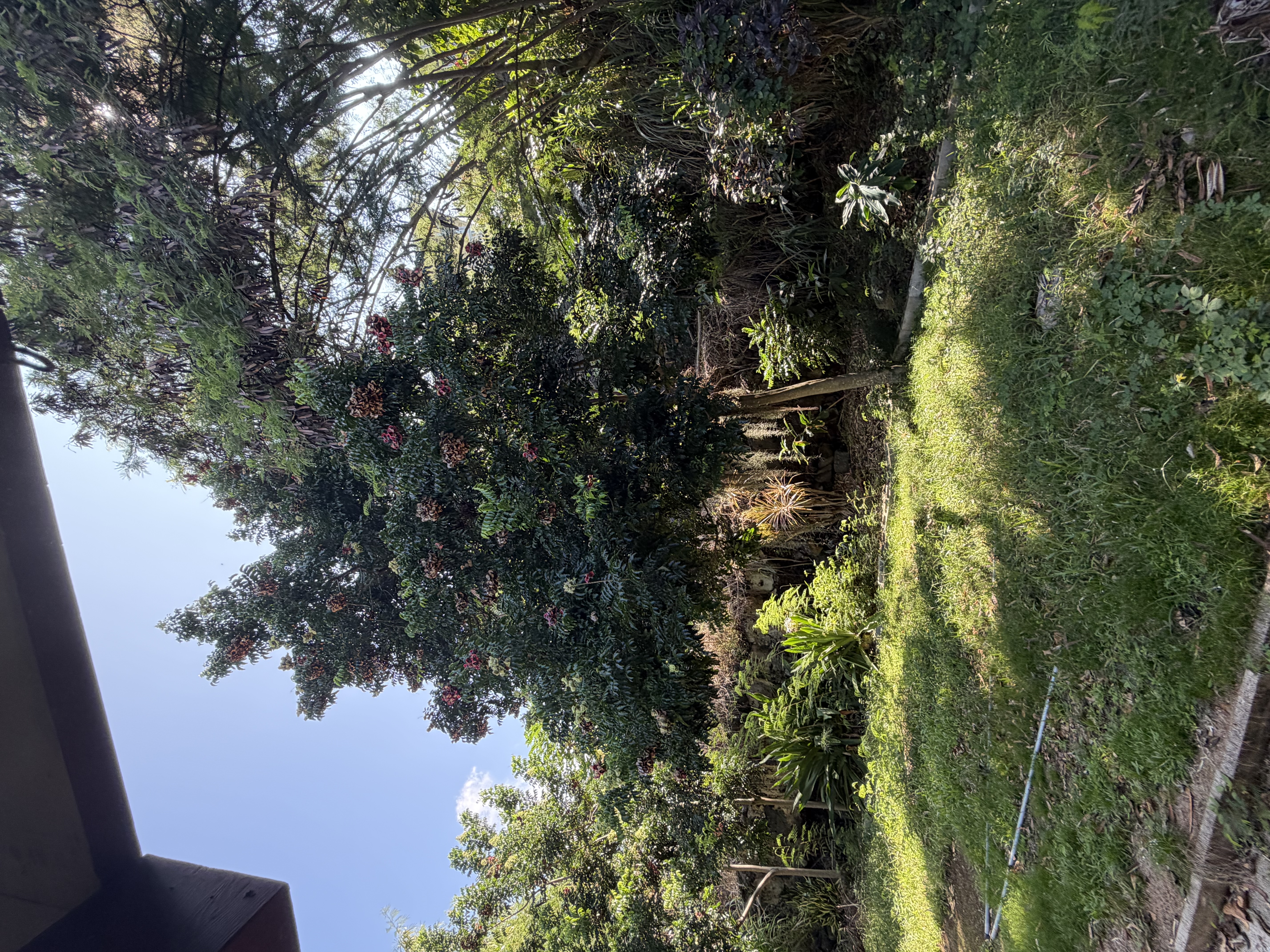 733100 Property Photo 7