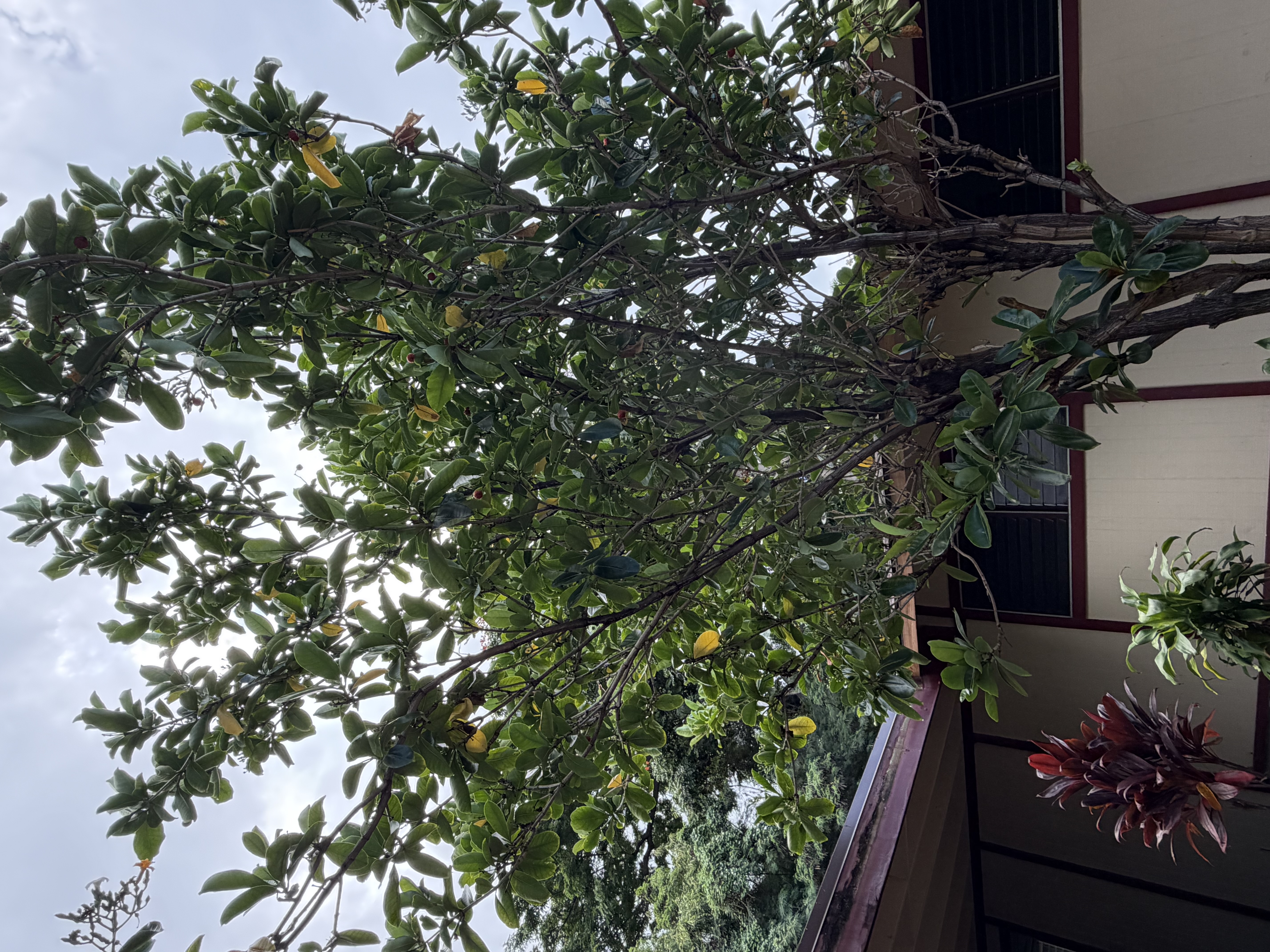 733100 Property Photo 16