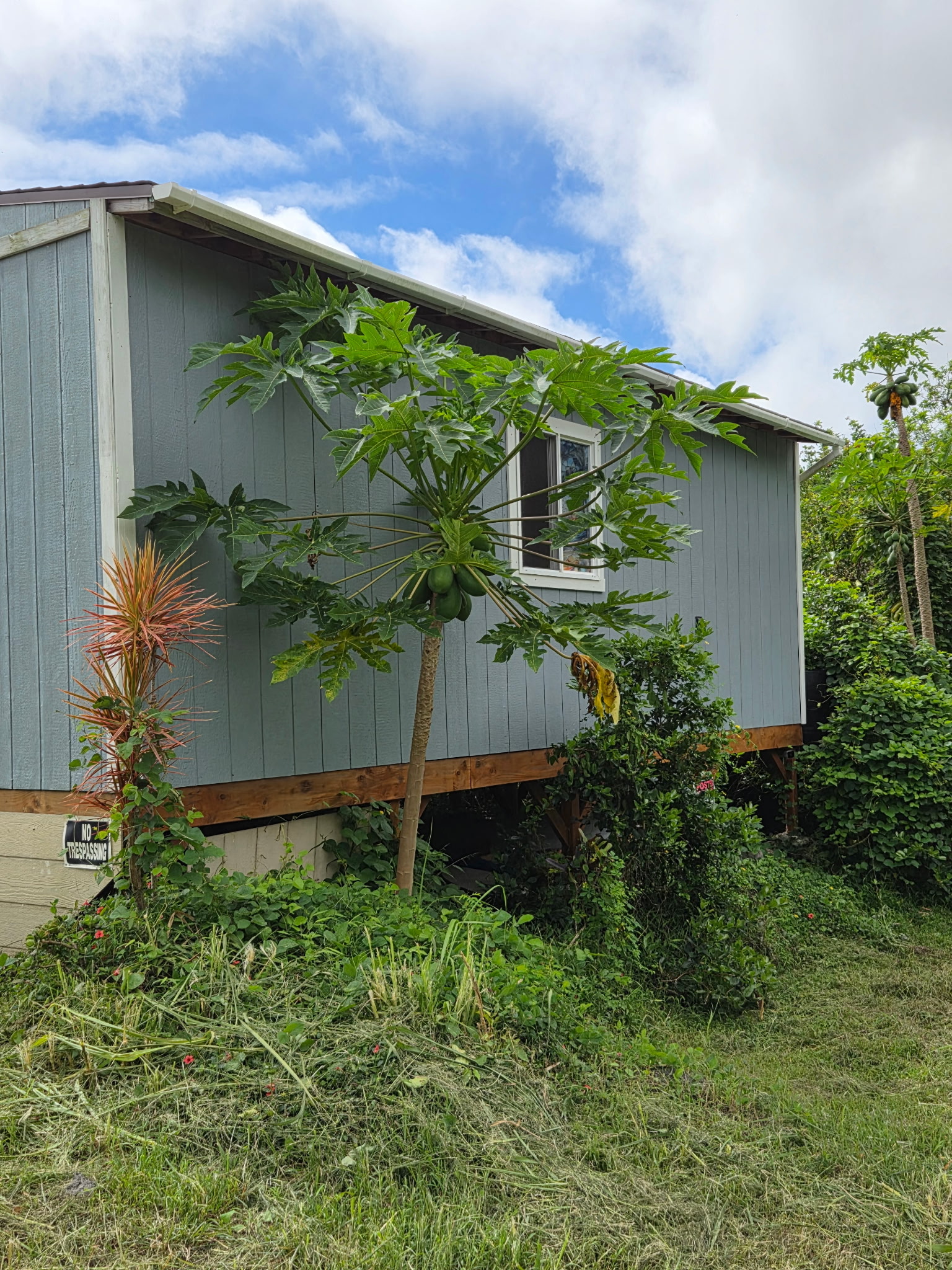 00-1 Lewa Lani St Property Photo 11