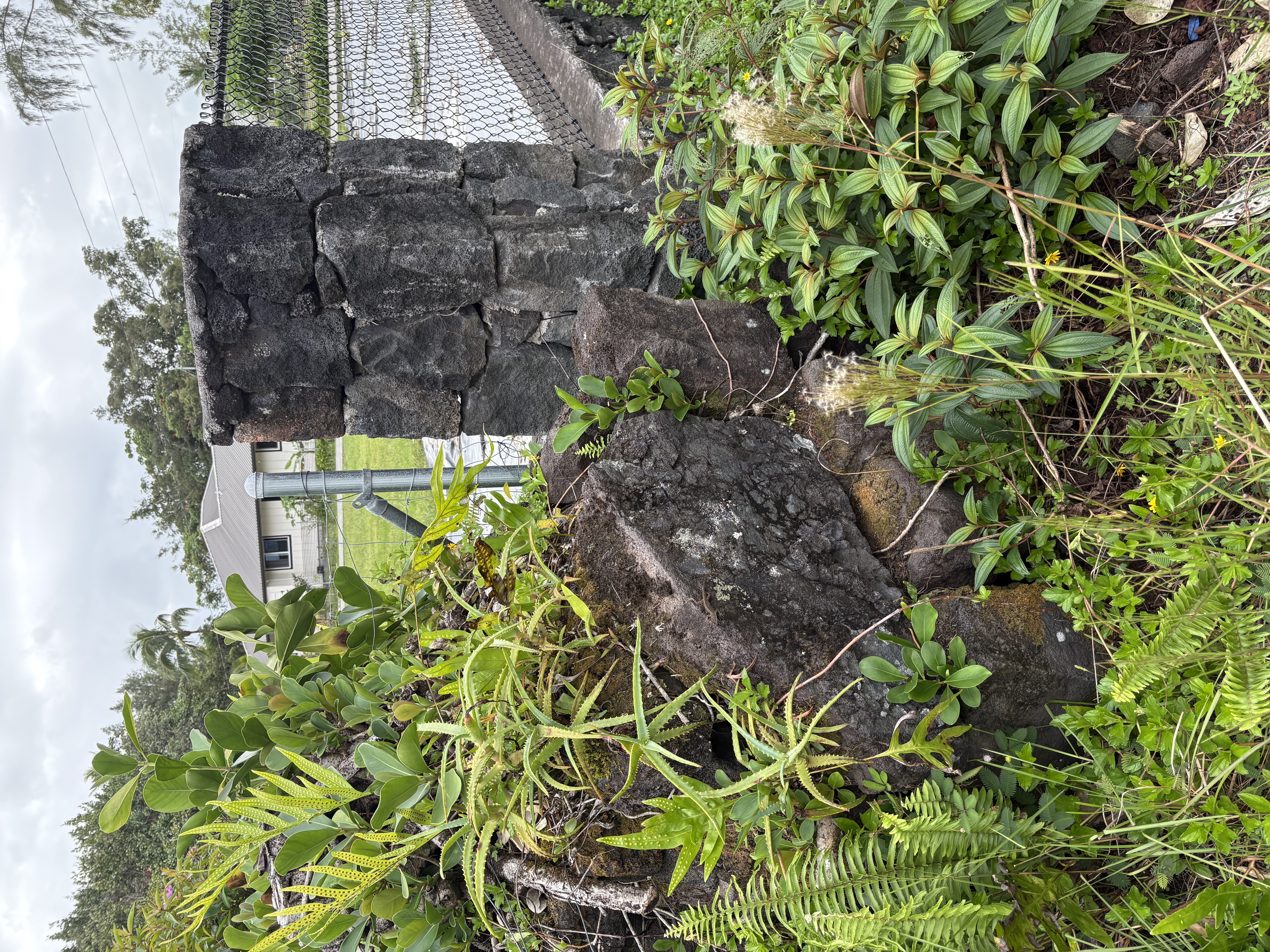 Kukane Rd Property Photo 1