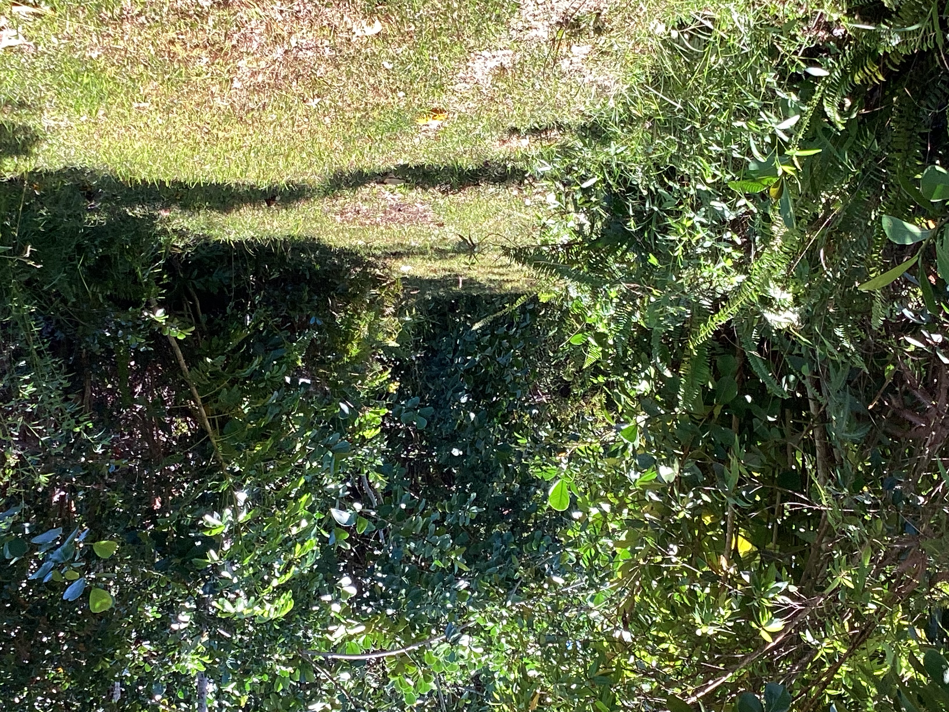 Kukane Rd Property Photo 3