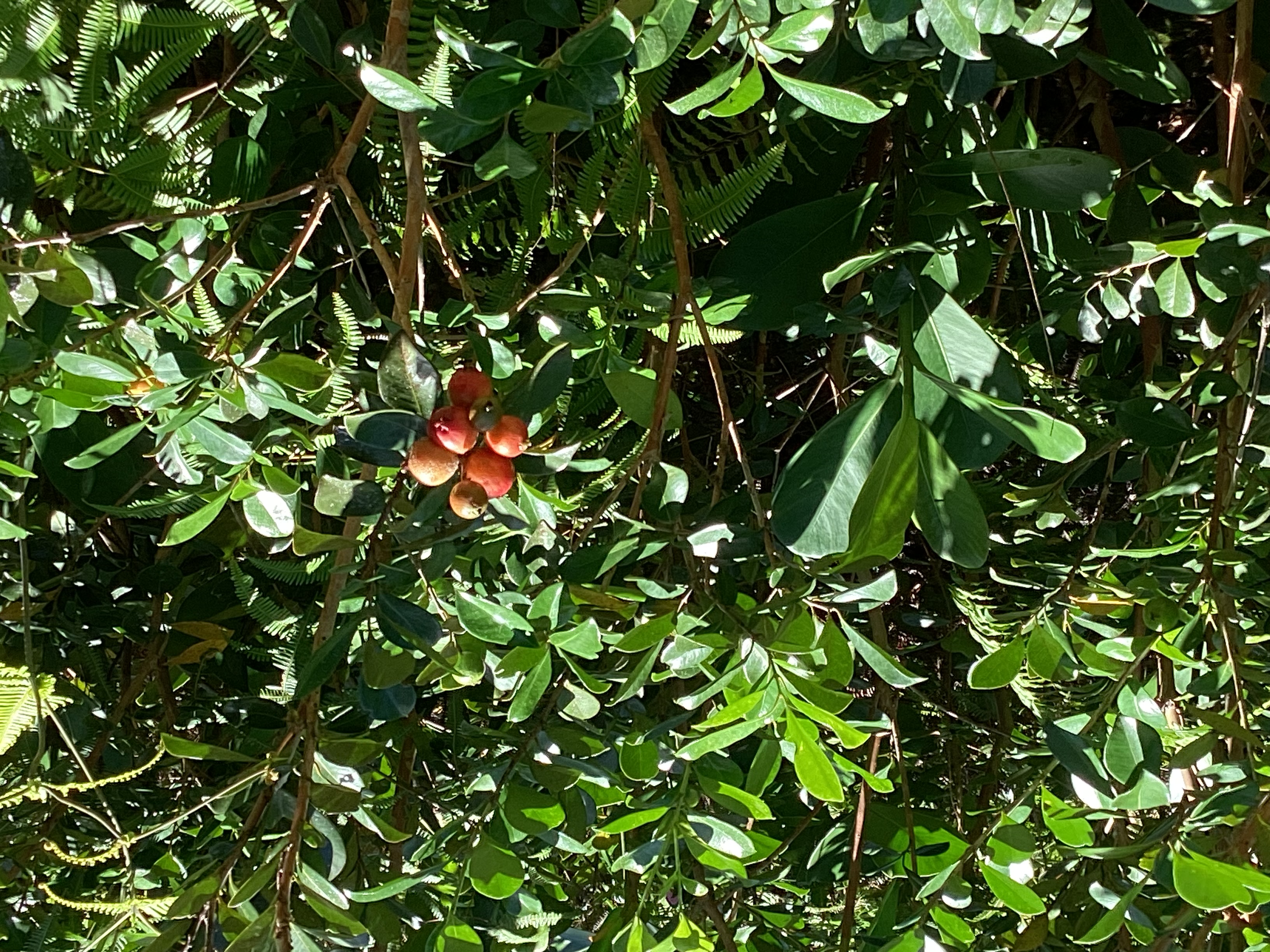 Kukane Rd Property Photo 13