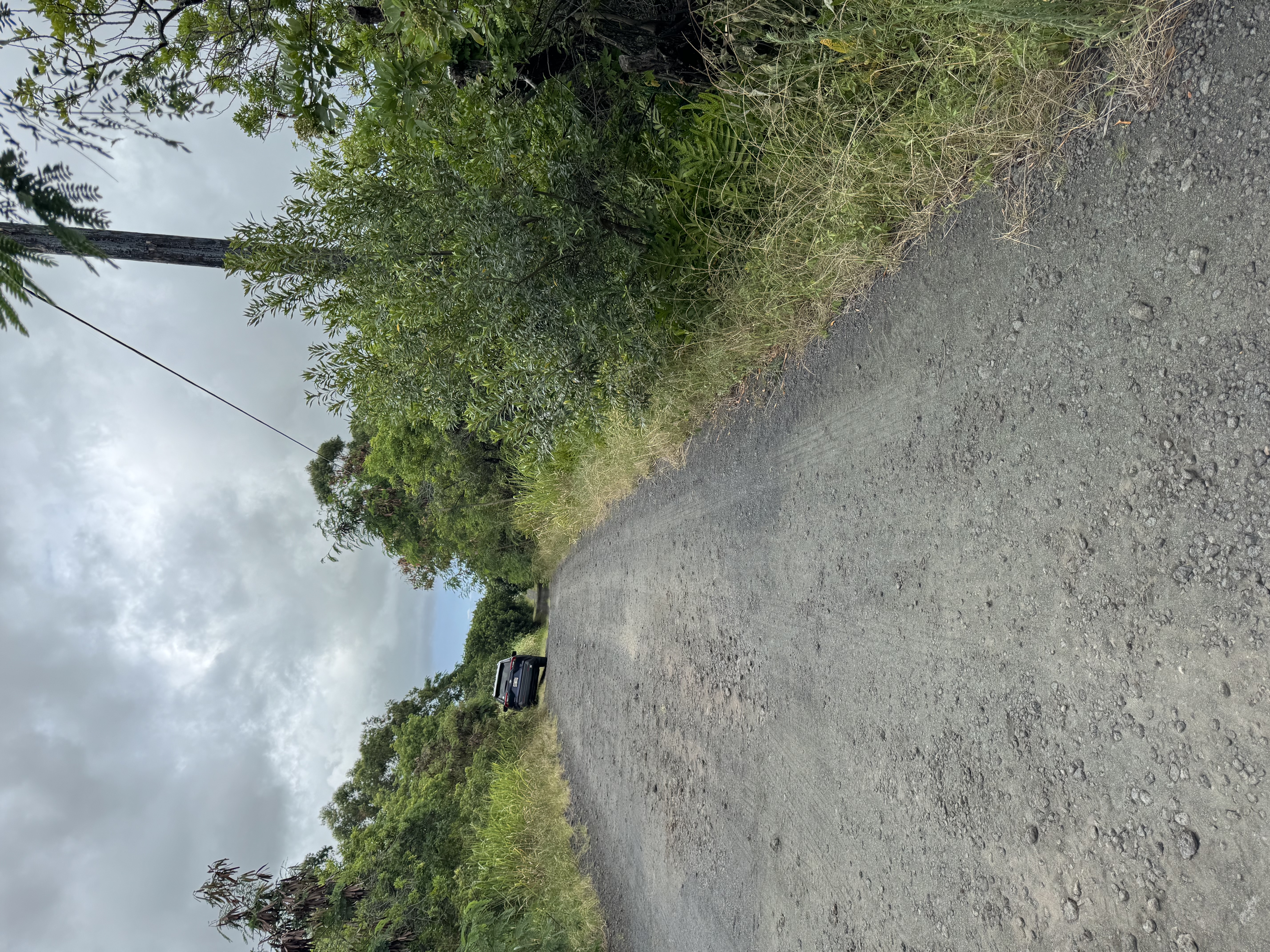 Holowai St Property Photo 3