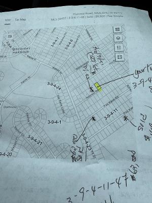 Holowai St Property Photo 4