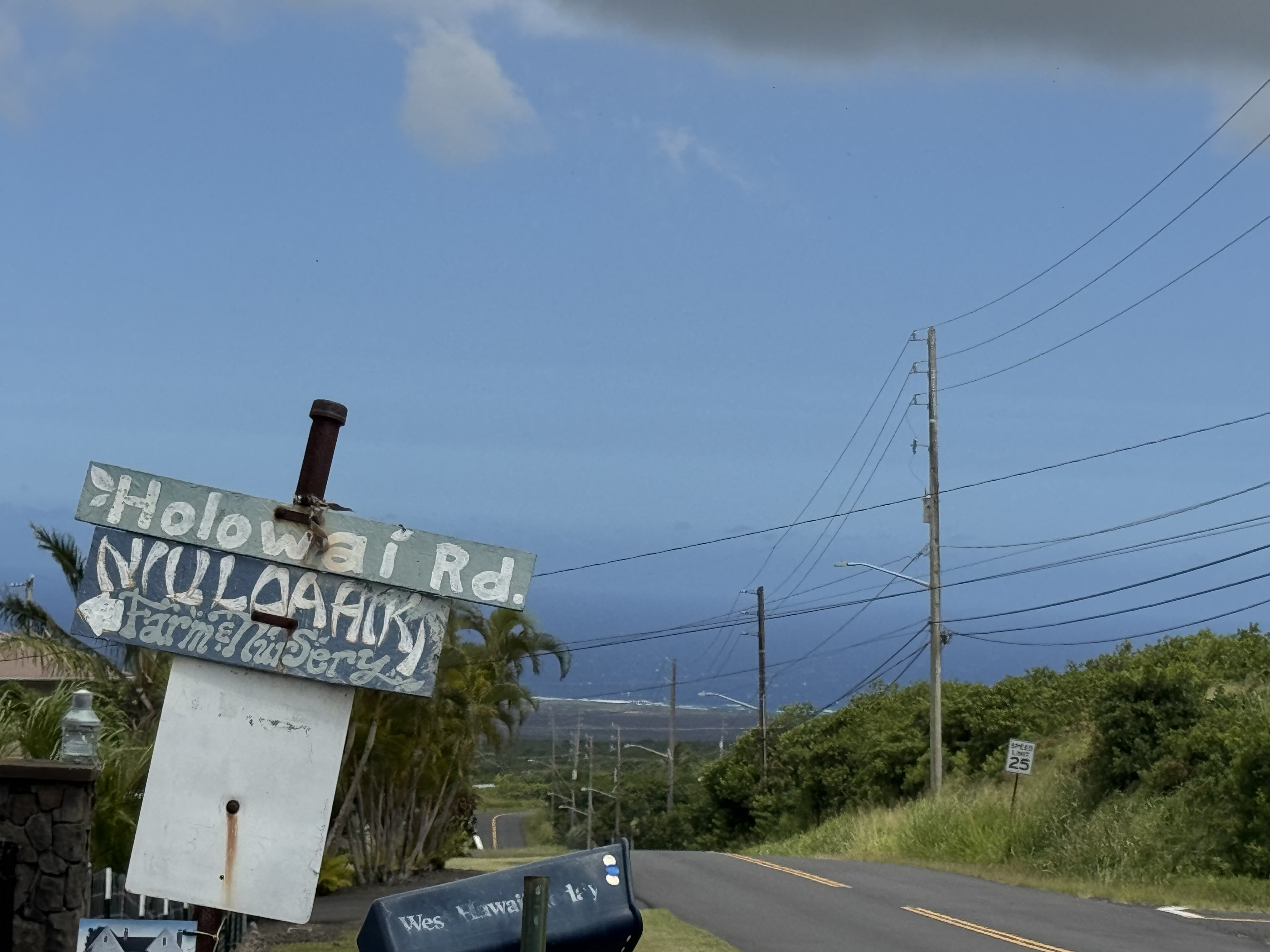 Holowai St Property Photo 5