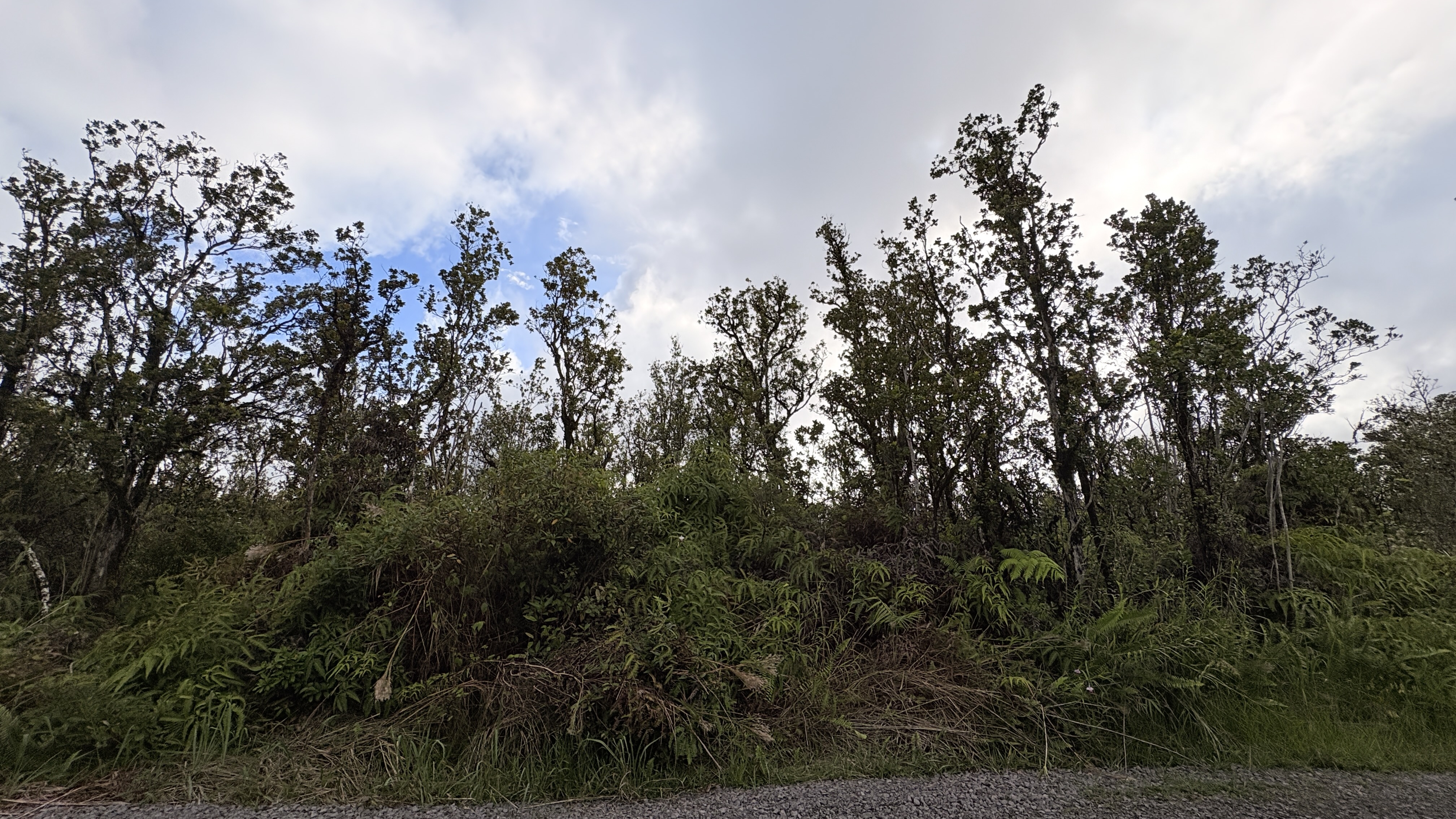 11-3275 Malia Aina Rd Property Photo 2