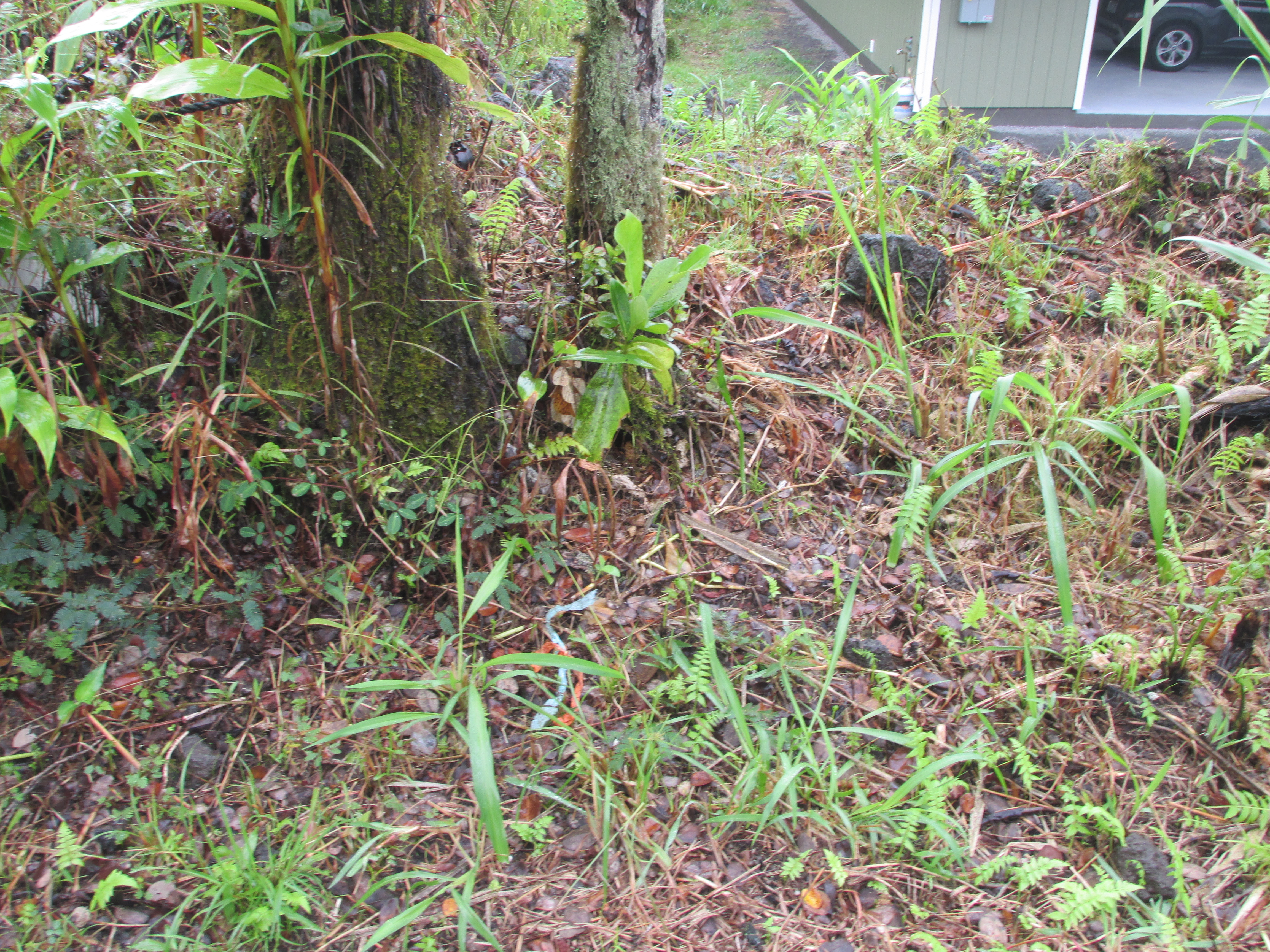 18-7856 Lauko Rd Property Photo 15