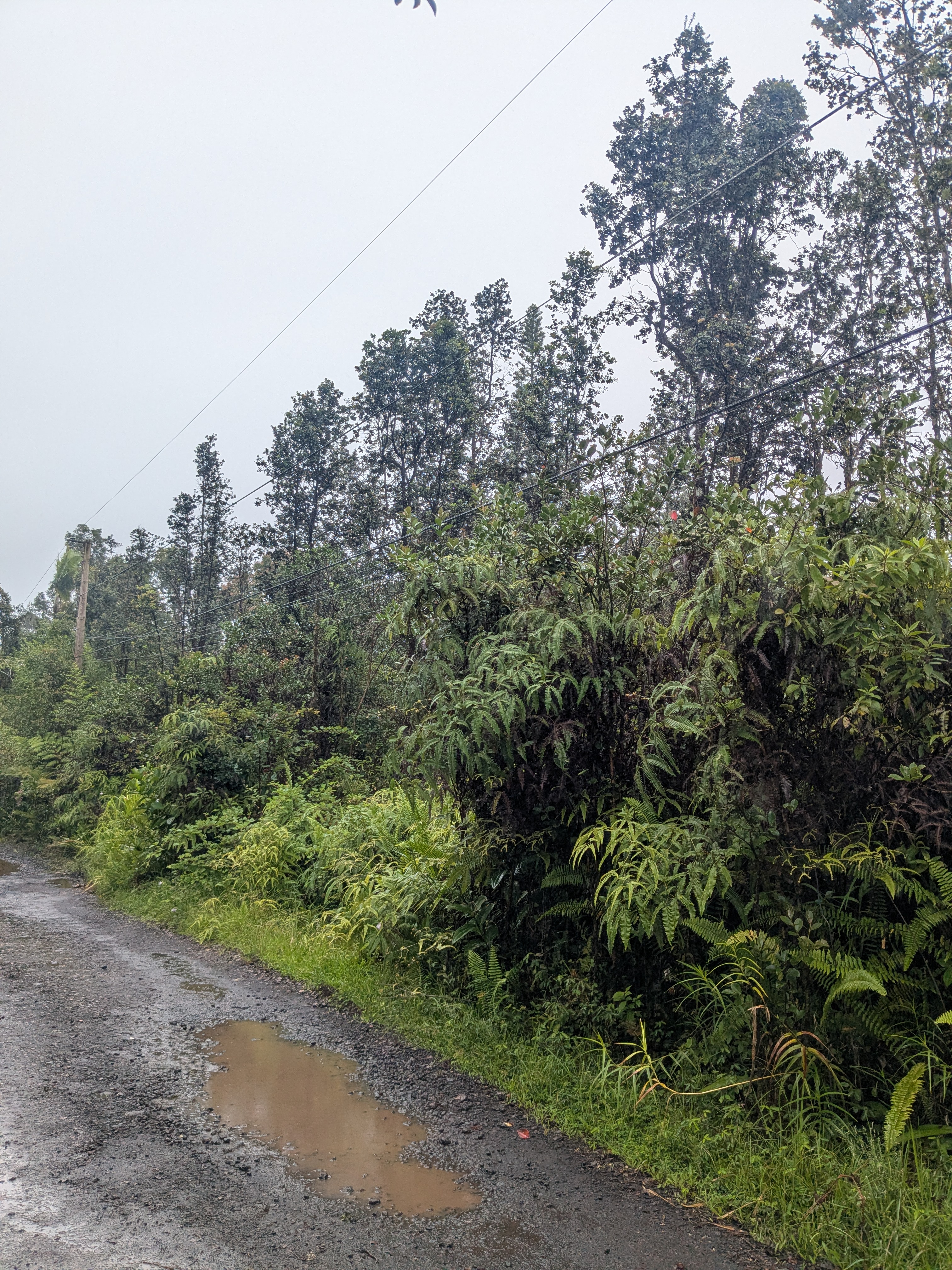 Road 3 (hopue) Property Photo 1