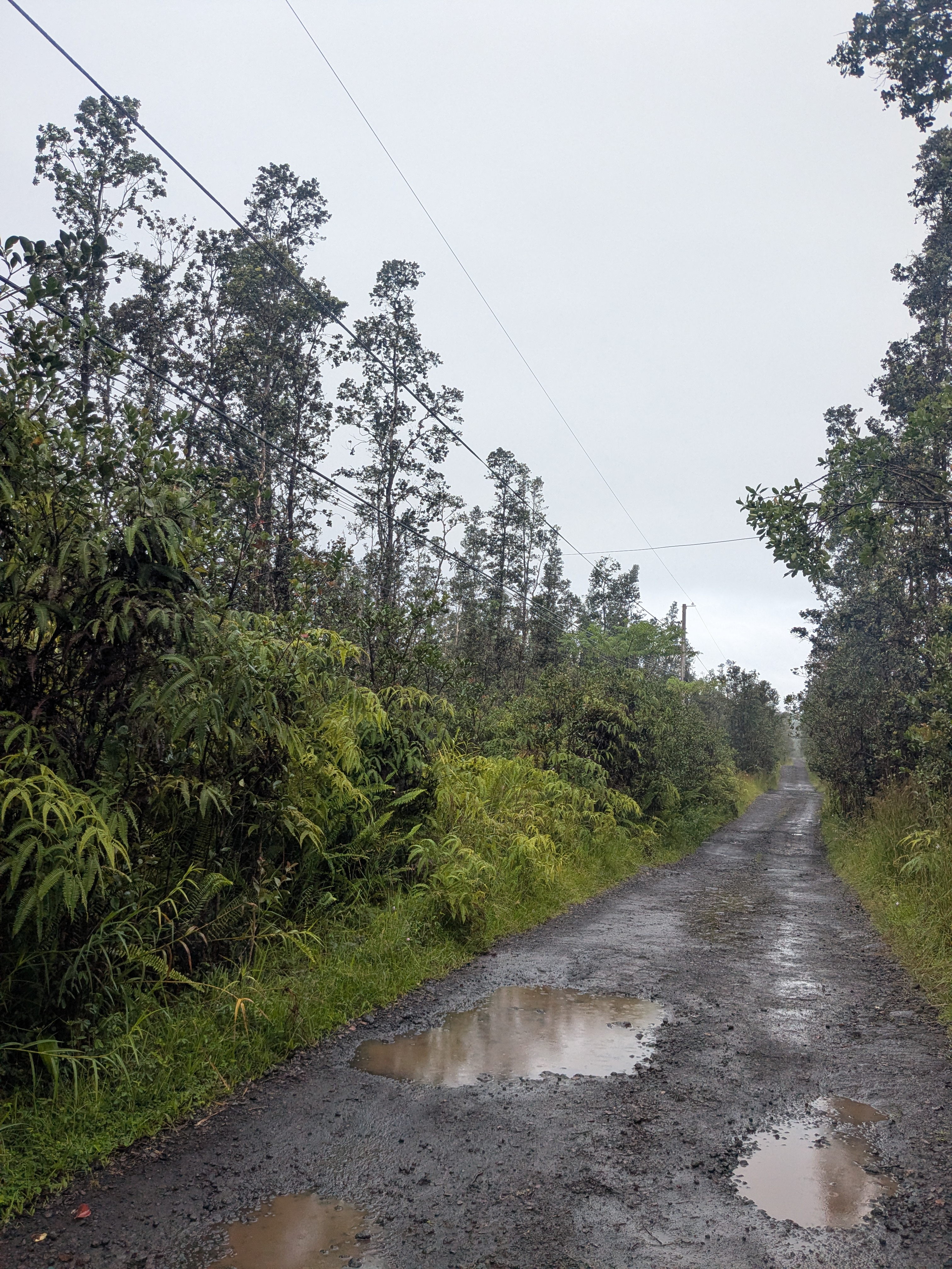Road 3 (hopue) Property Photo 2