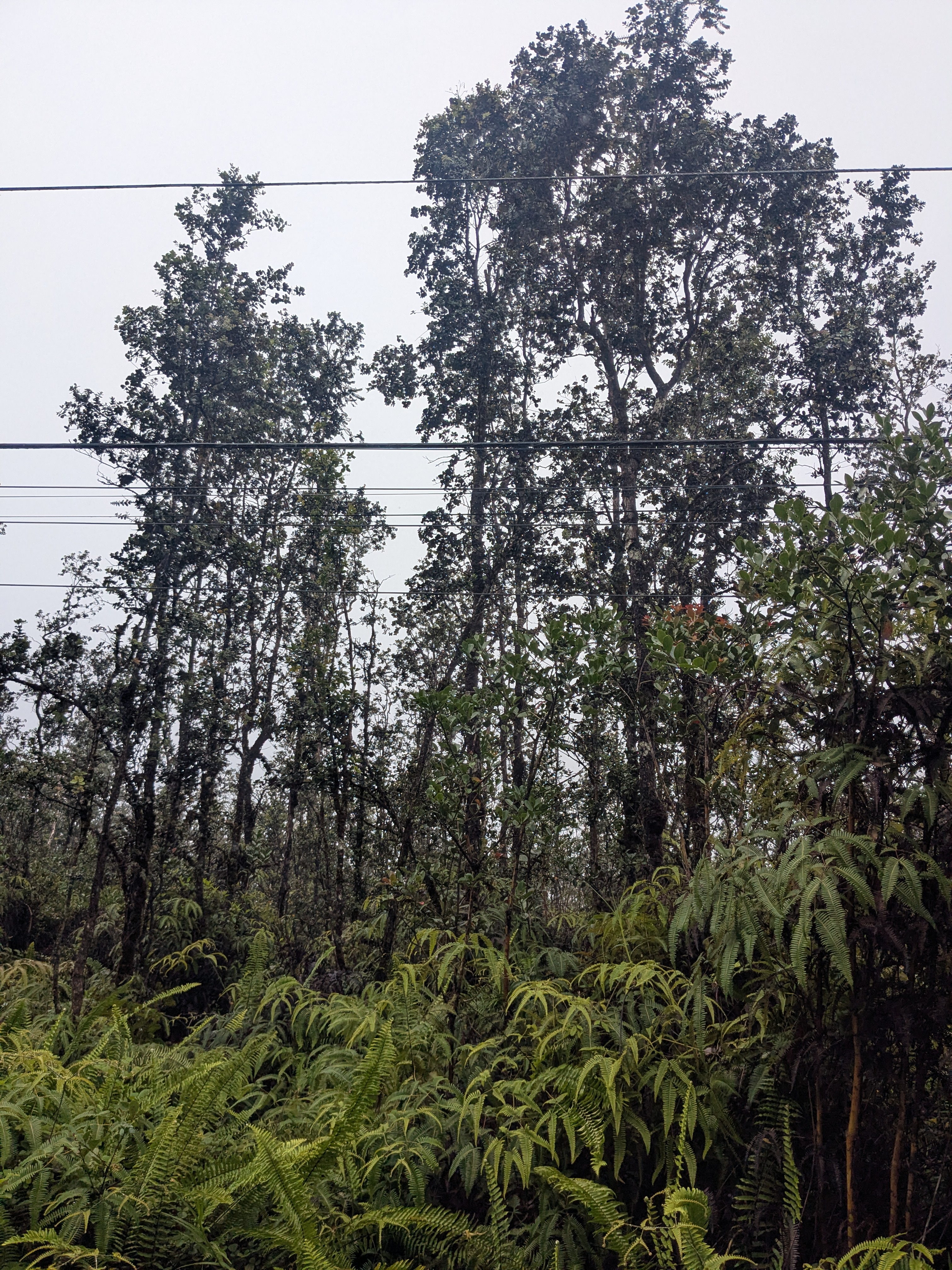 Road 3 (hopue) Property Photo 3
