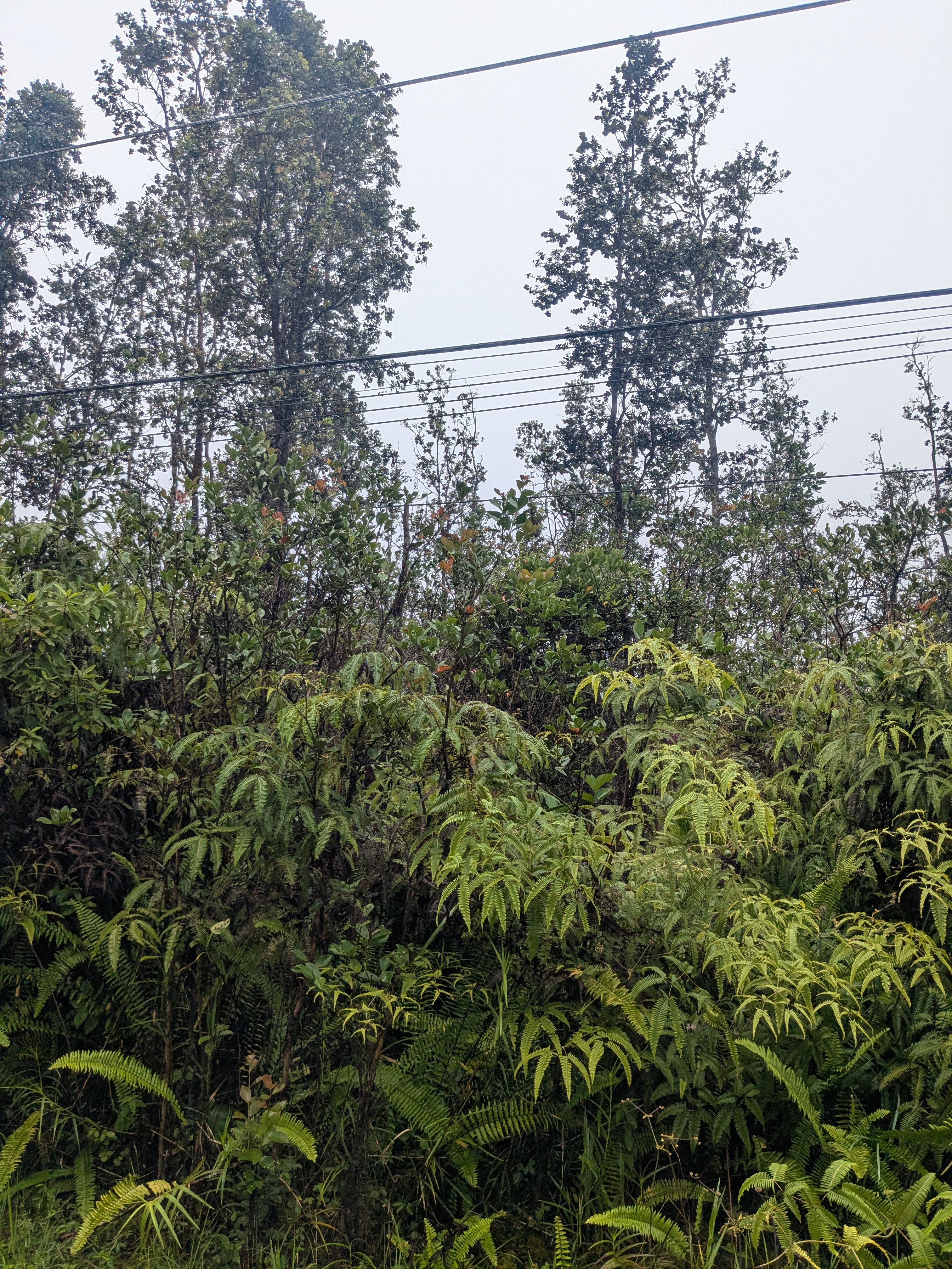Road 3 (hopue) Property Photo 4