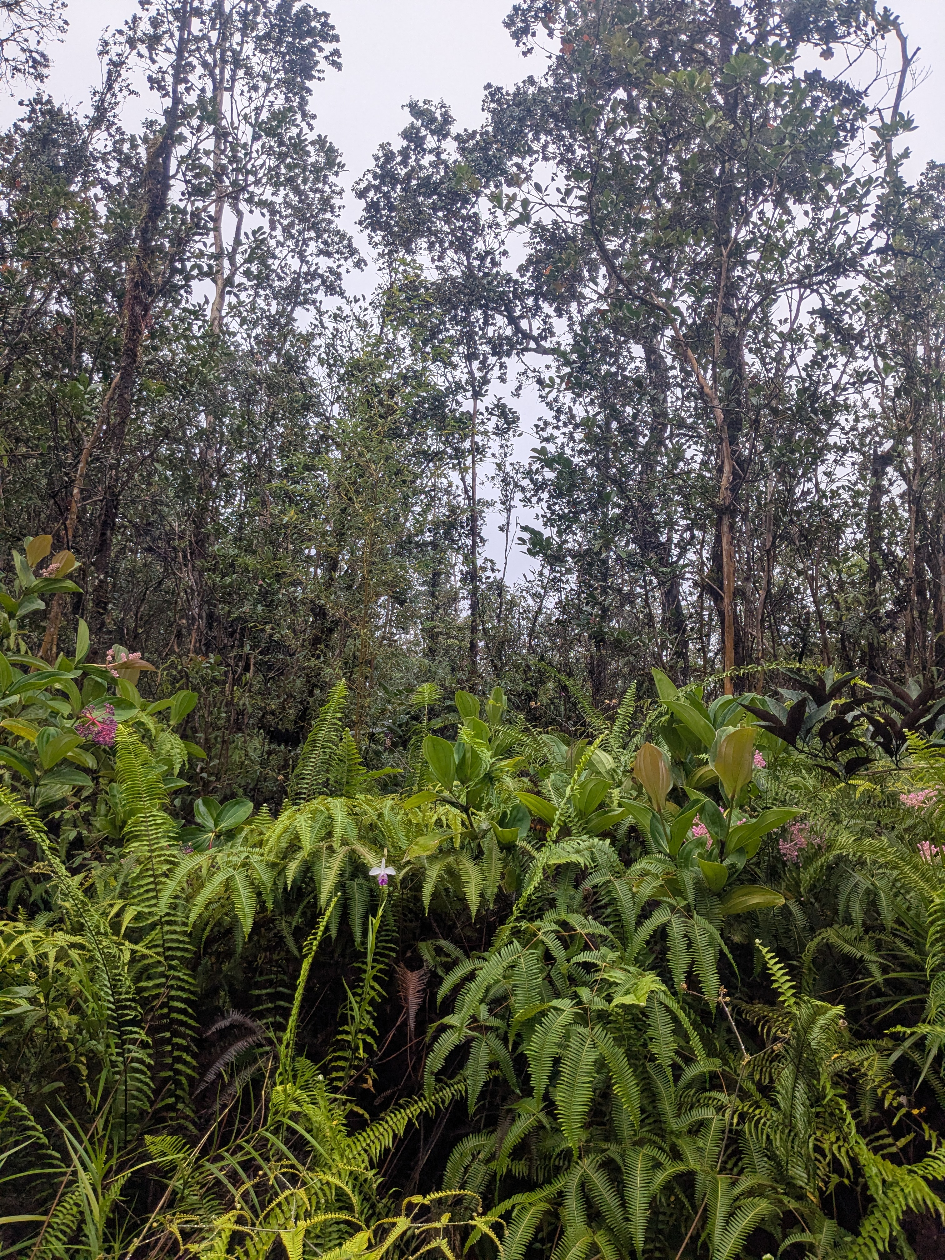 Road 3 (hopue) Property Photo 5