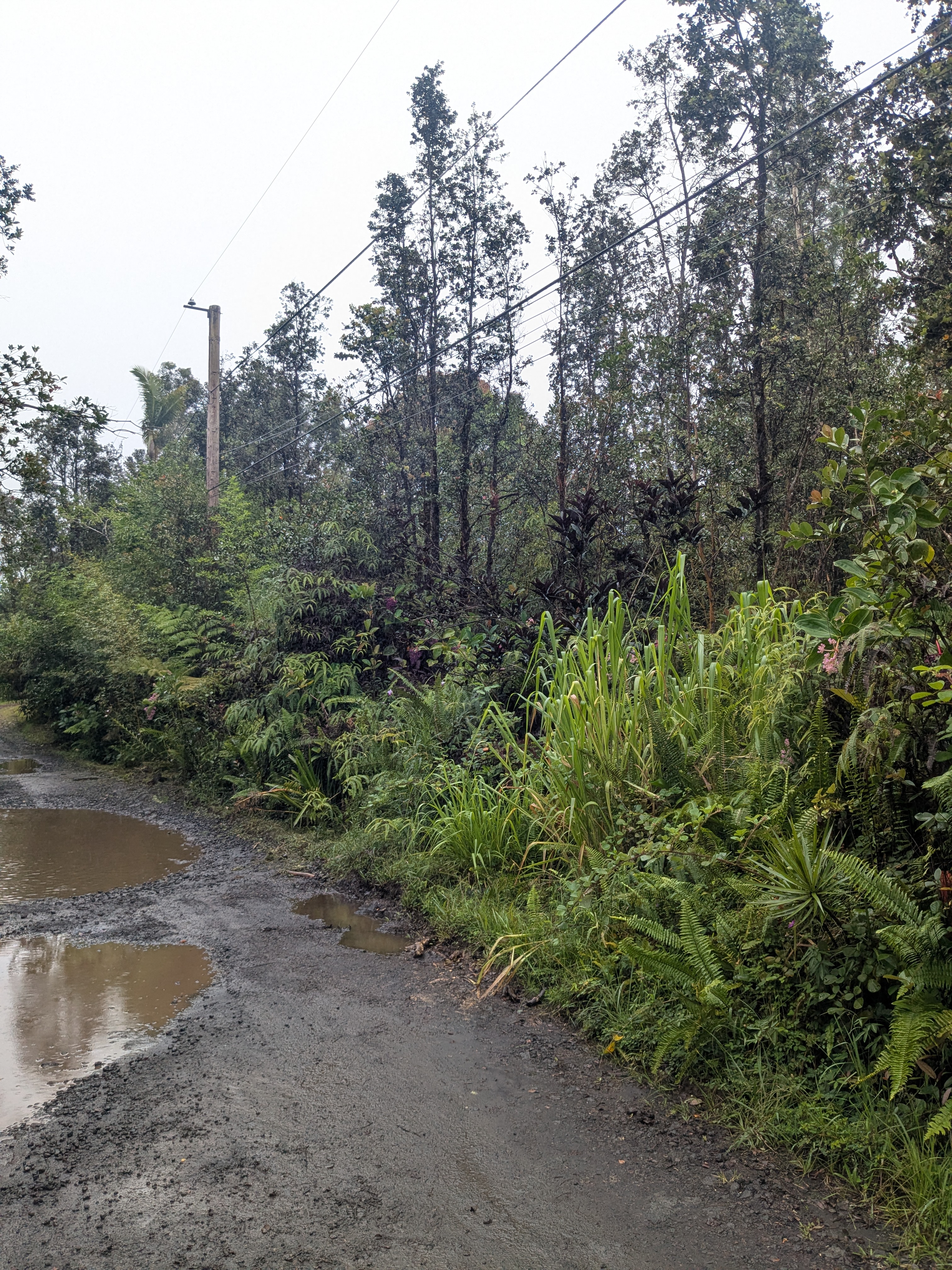 Road 3 (hopue) Property Photo 8