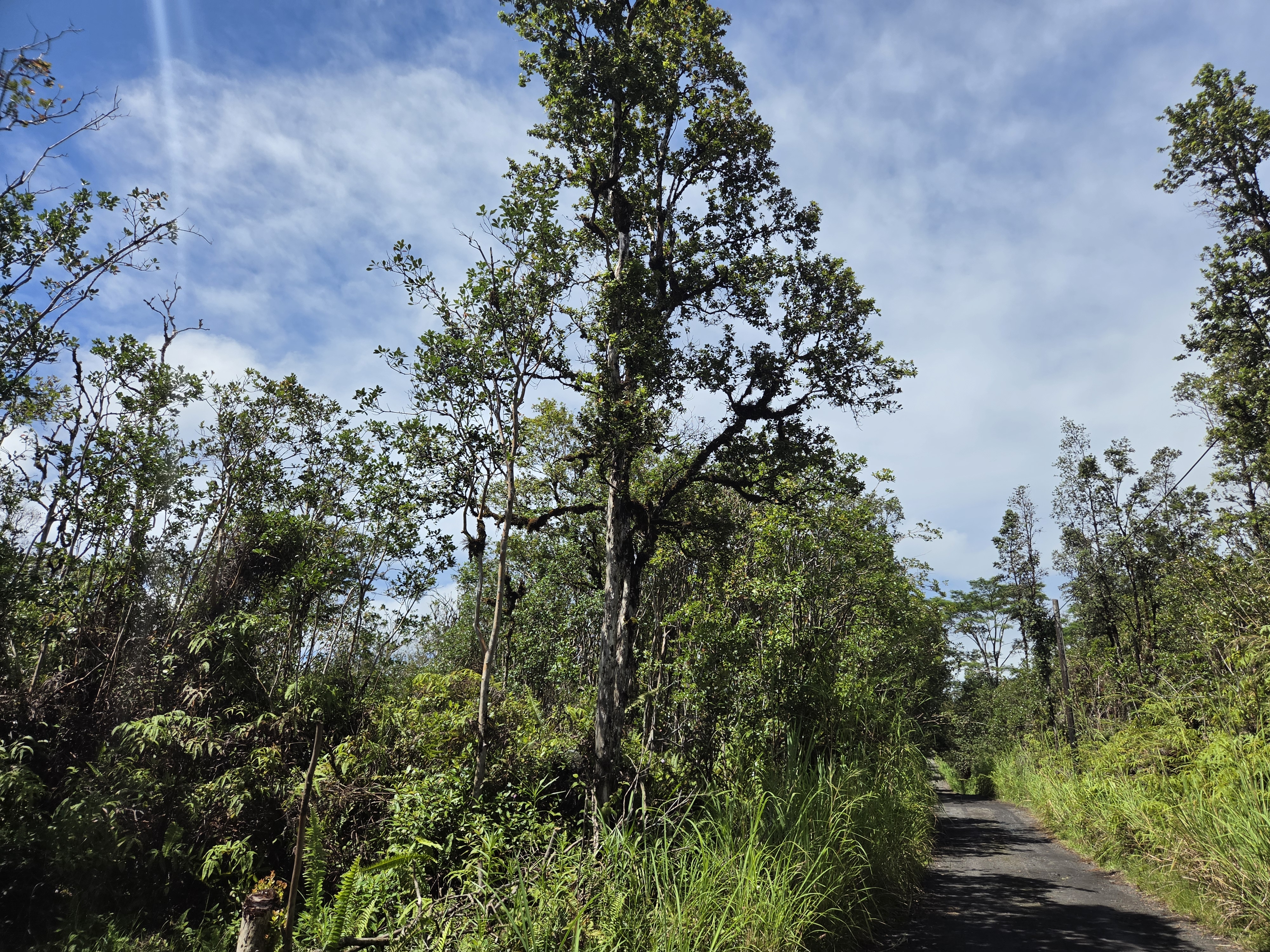 Road 3 (hopue) Property Photo 1