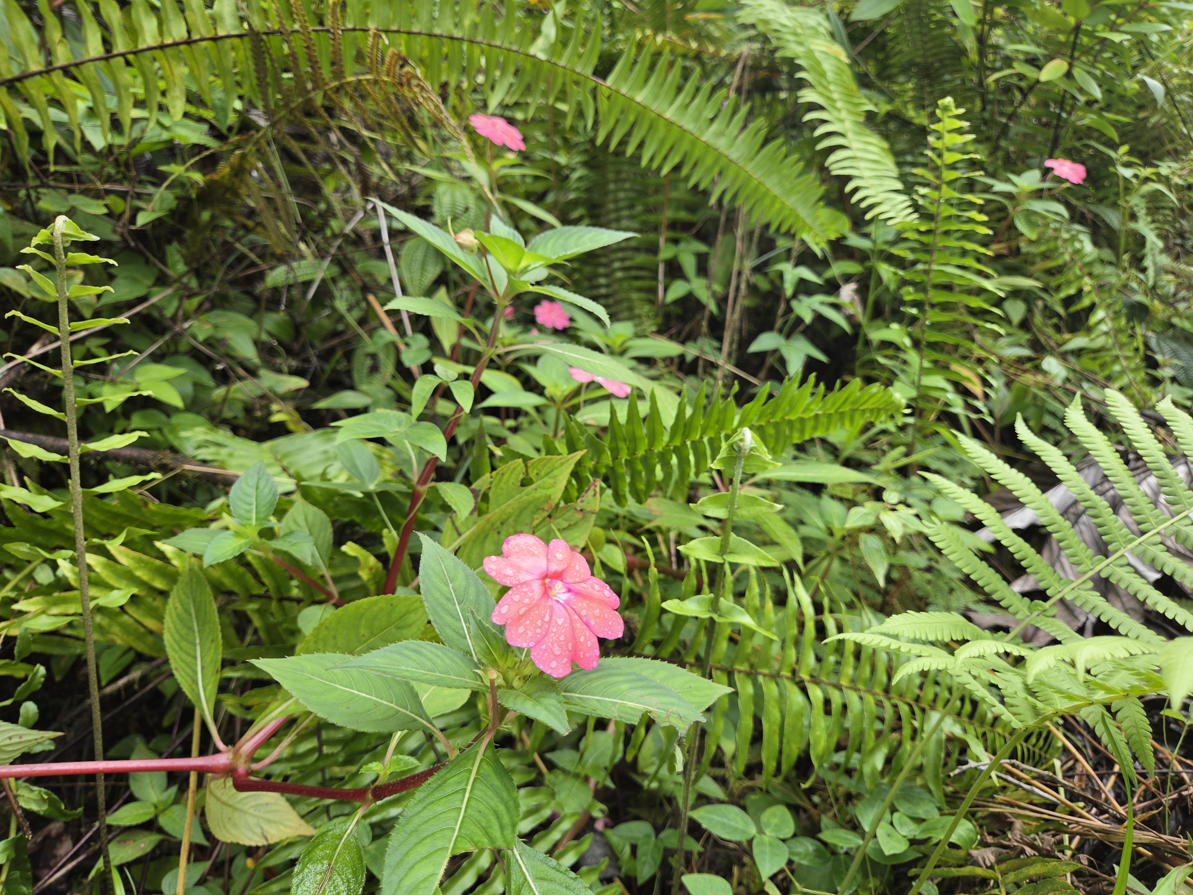 Road 5 (uau) Property Photo 2
