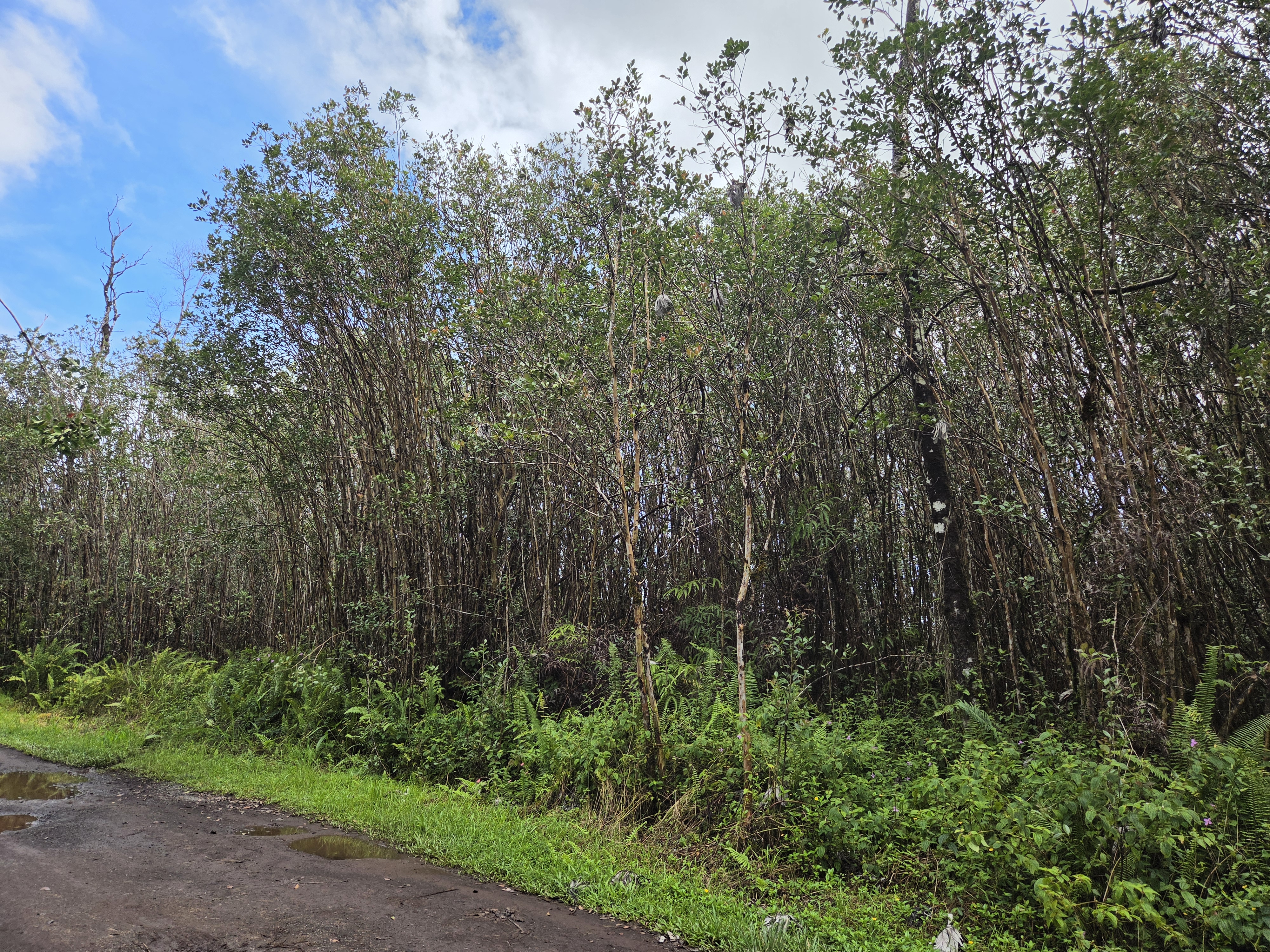 Road 5 (uau) Property Photo 3