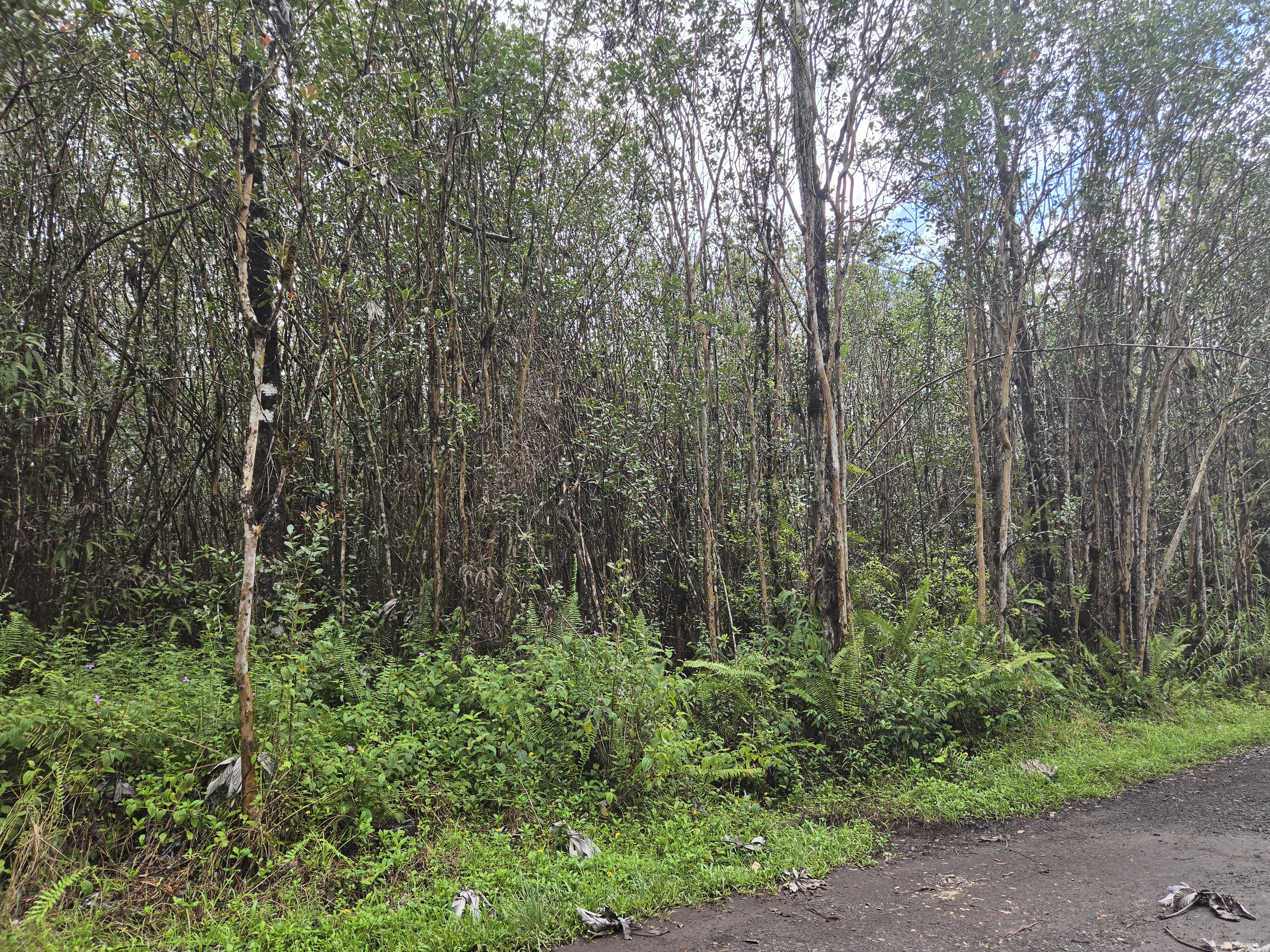 Road 5 (uau) Property Photo 4