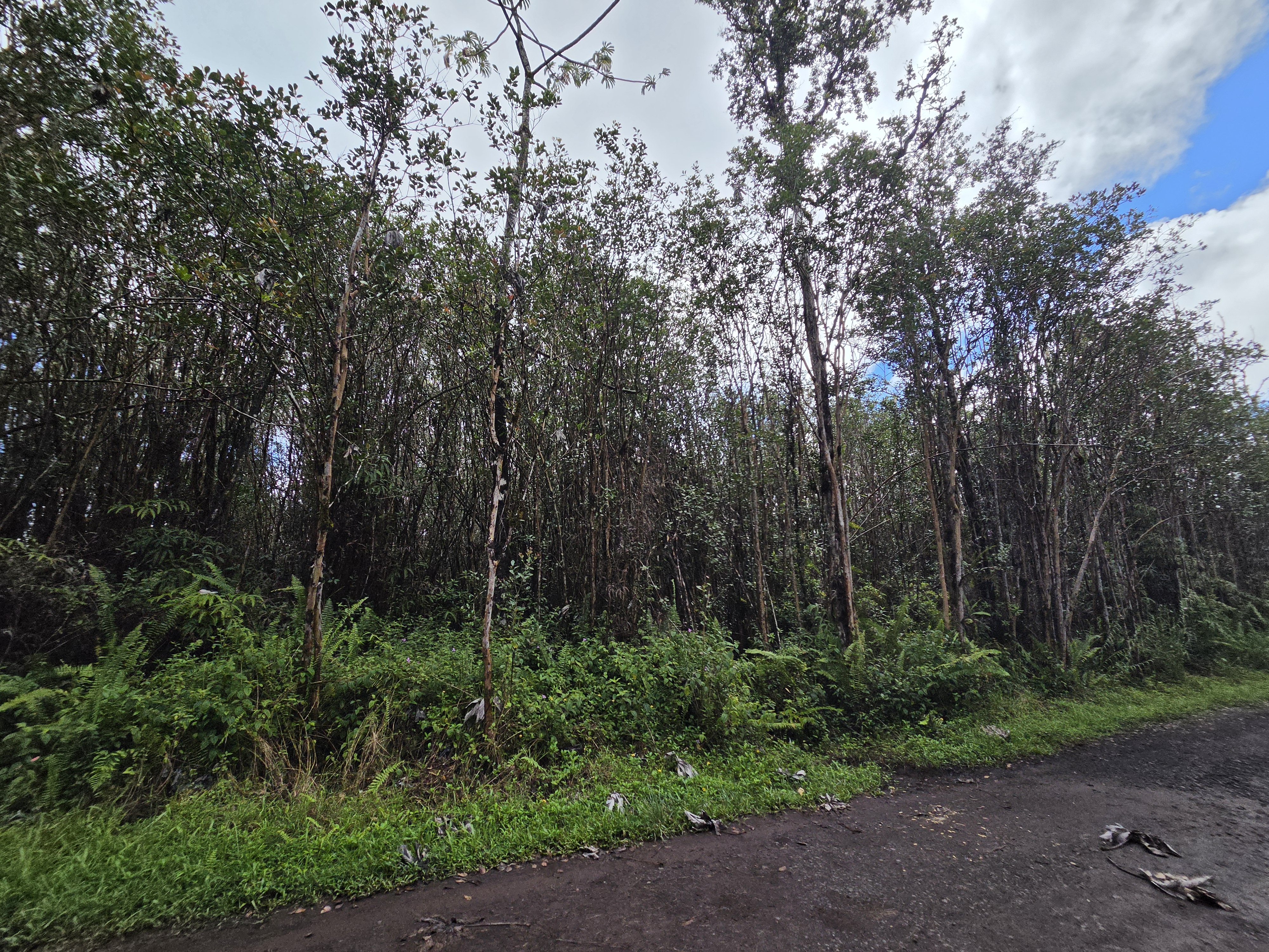 Road 5 (uau) Property Photo 5