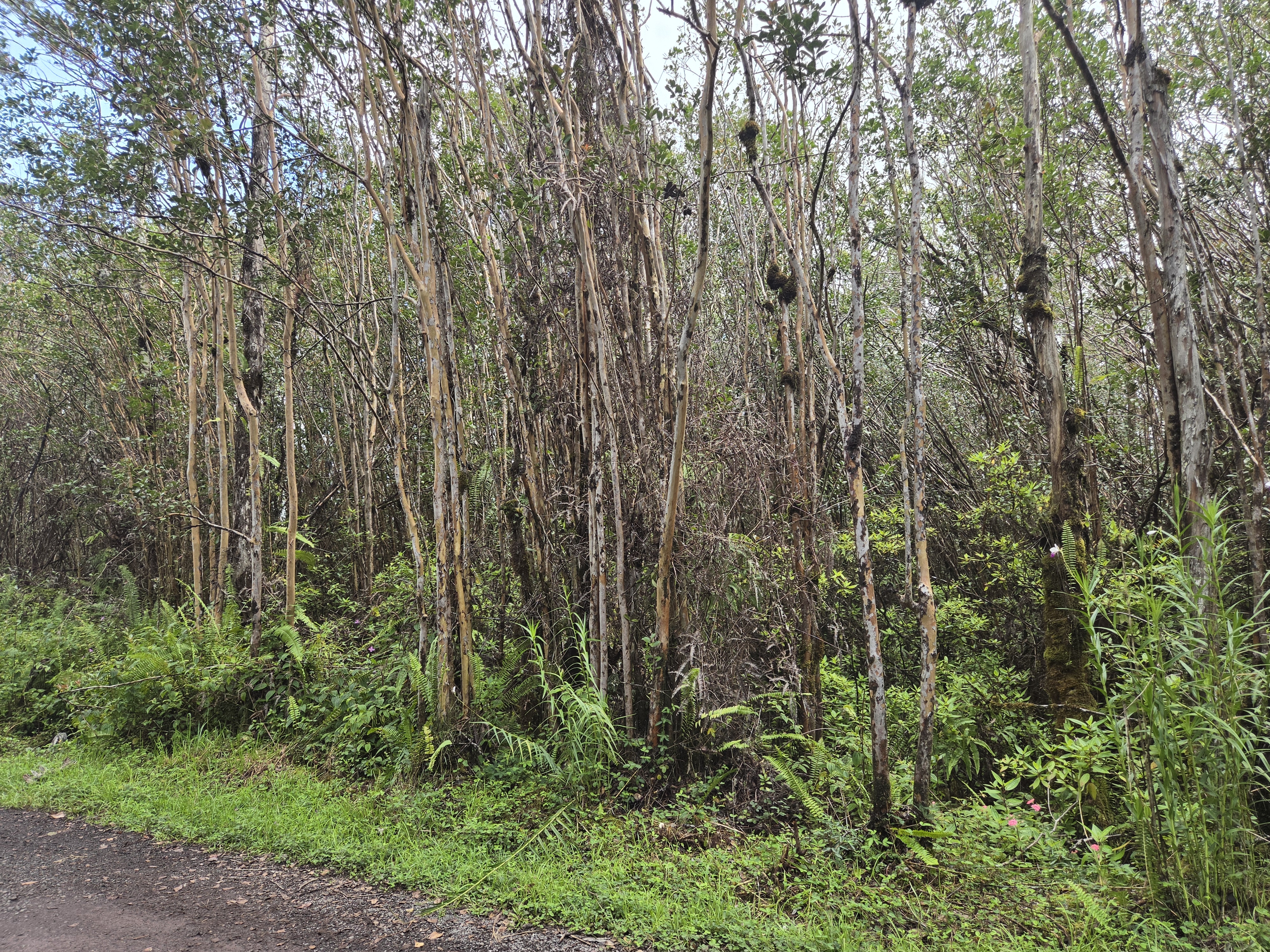 Road 5 (uau) Property Photo 7