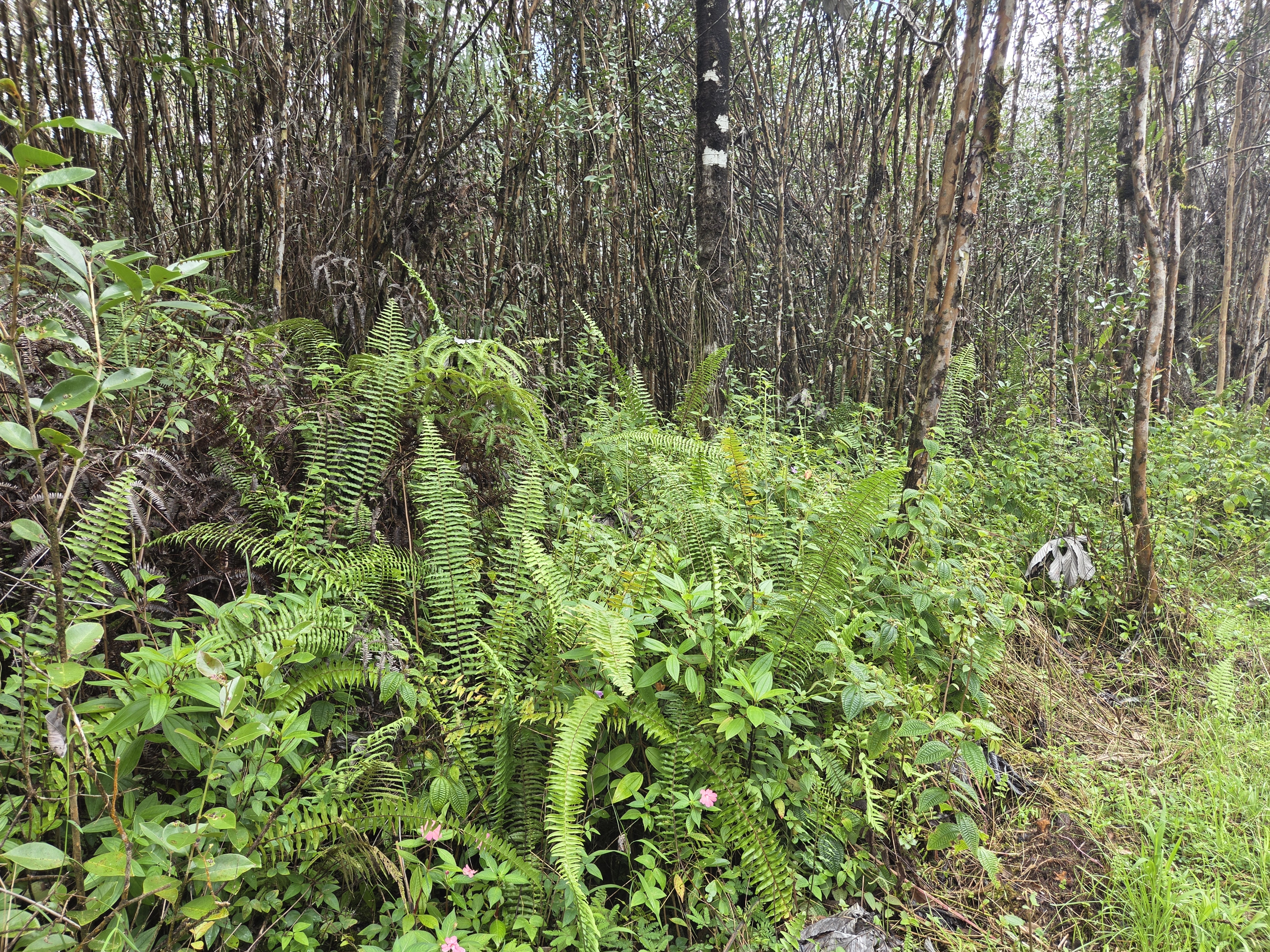 Road 5 (uau) Property Photo 9