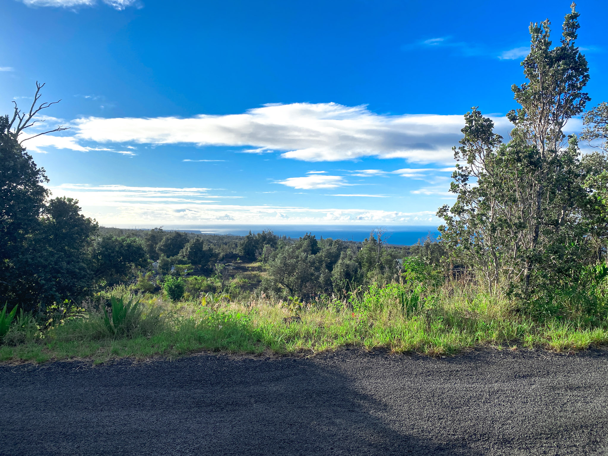 Sea Breeze Pkwy Property Photo 4