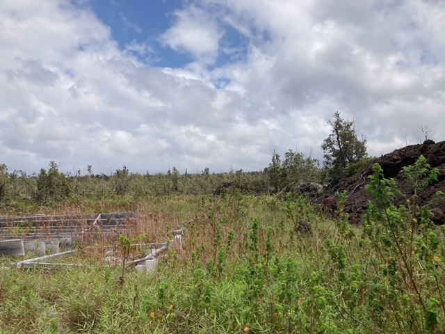 Sea Breeze Pkwy Property Photo 10