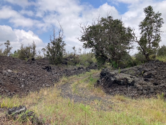 Sea Breeze Pkwy Property Photo 13