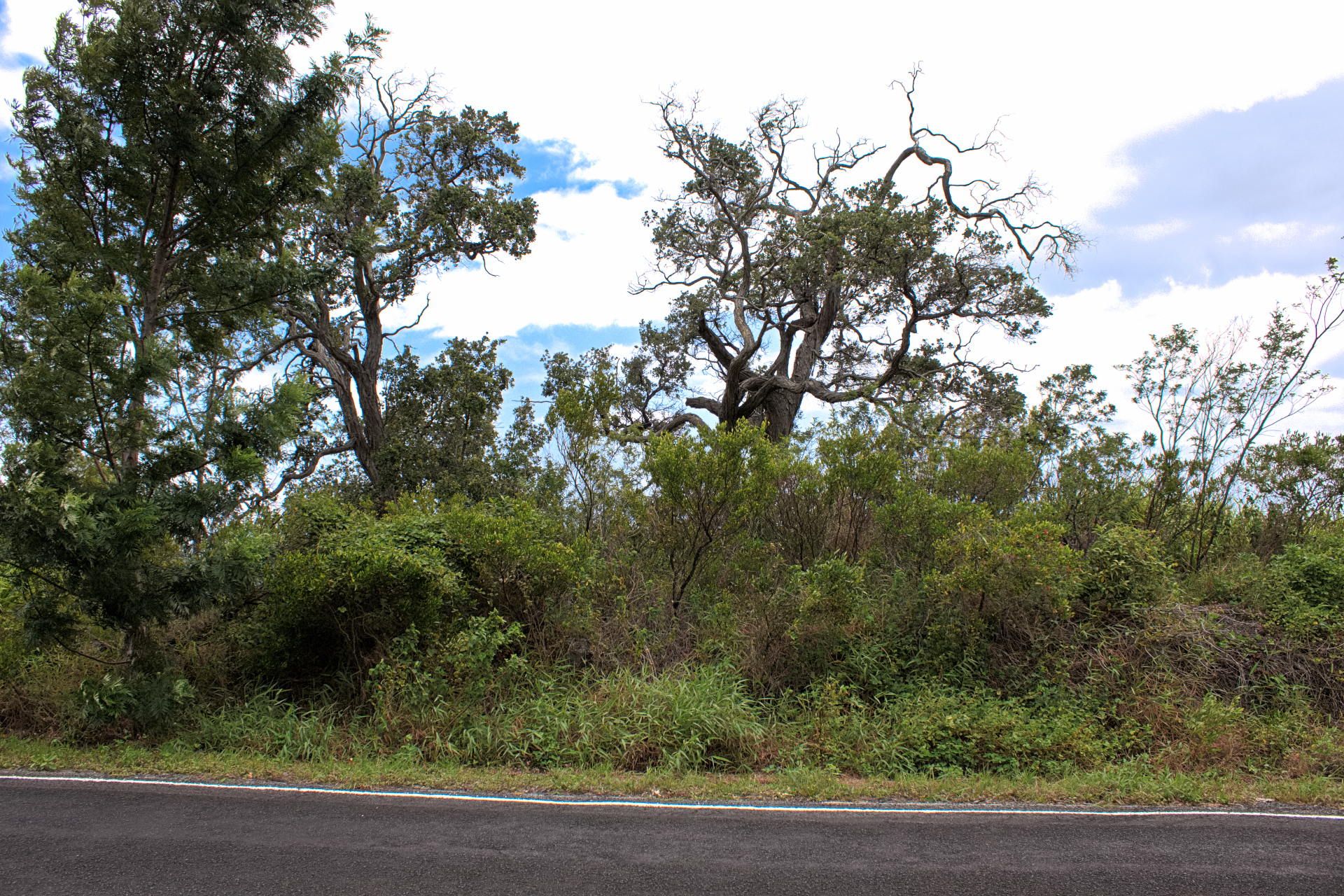 Princess Kaiulani Blvd Property Photo 3