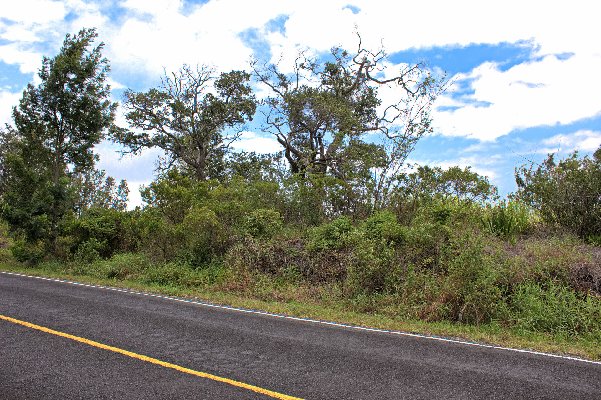 Princess Kaiulani Blvd Property Photo 4