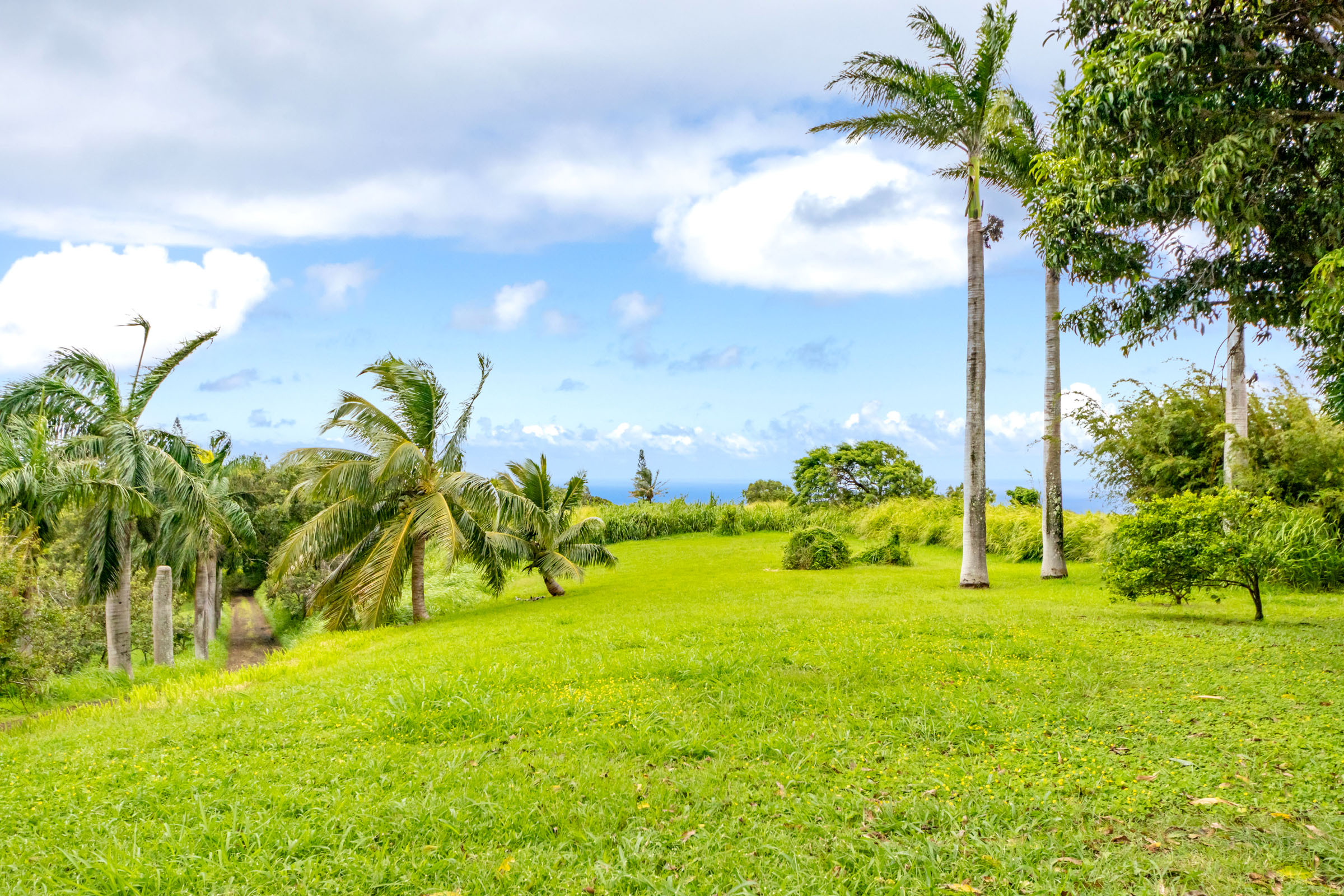 55-3476 Akoni Pule Highway Property Photo 3