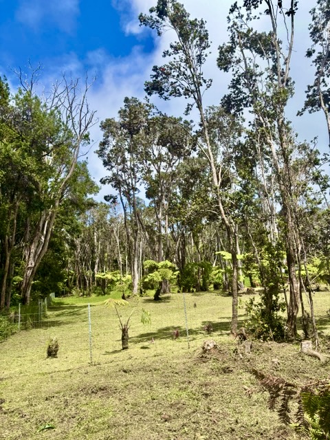 Haunani Rd Property Photo 2