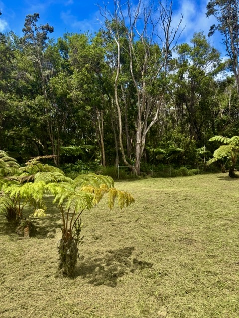 Haunani Rd Property Photo 3