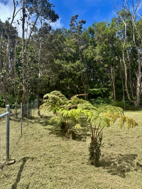 Haunani Rd Property Photo 4